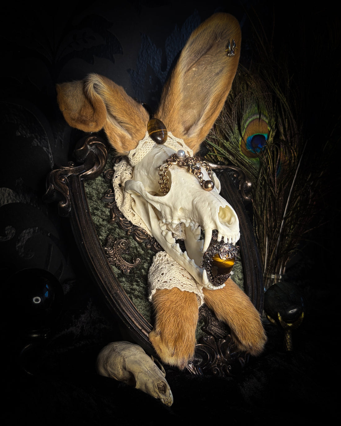 Foxy Bunny | Whimsical — taxidermy art by Morbid Oddities