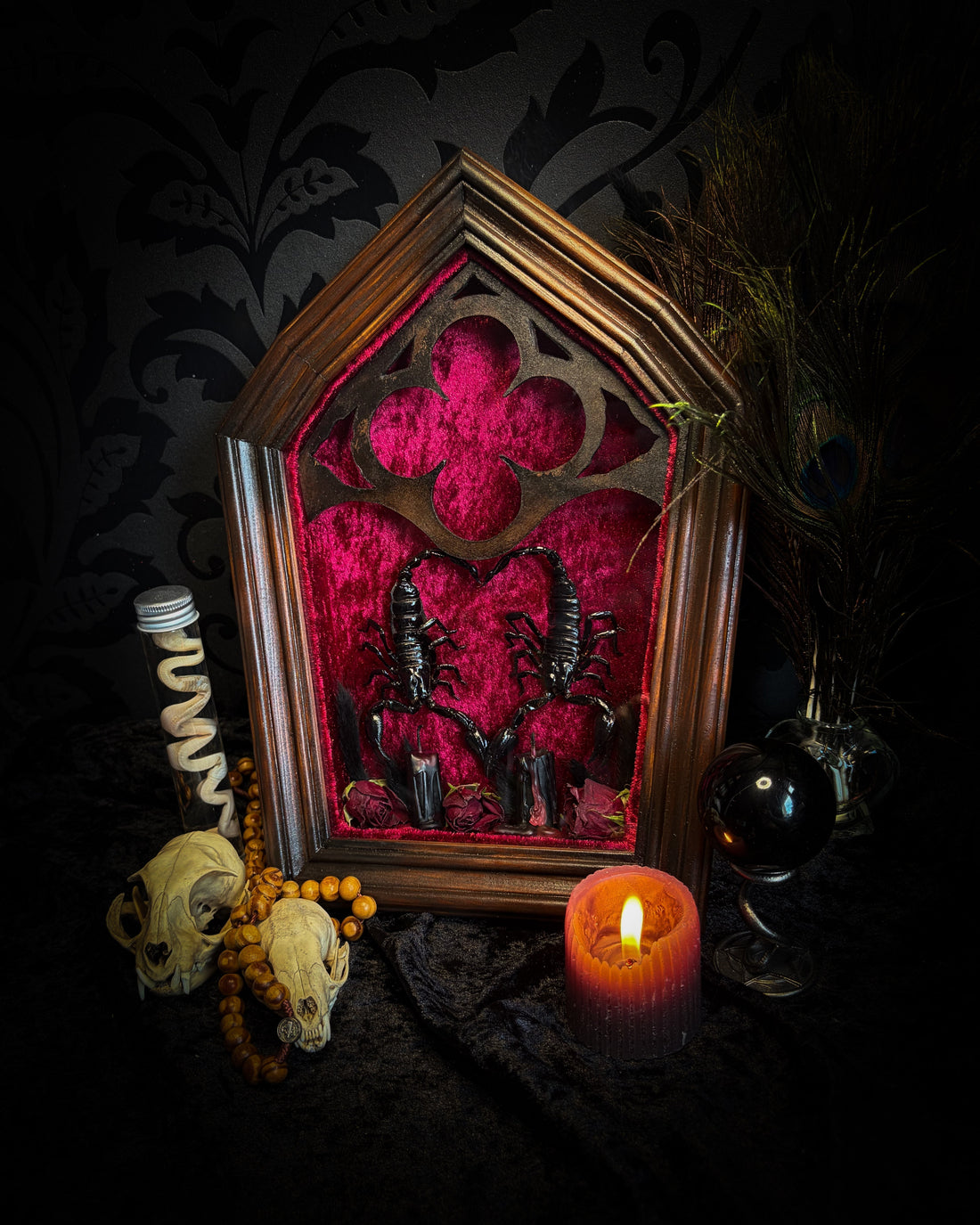 Veneficium | handmade gothic shadowbox with insects | Morbid Oddities