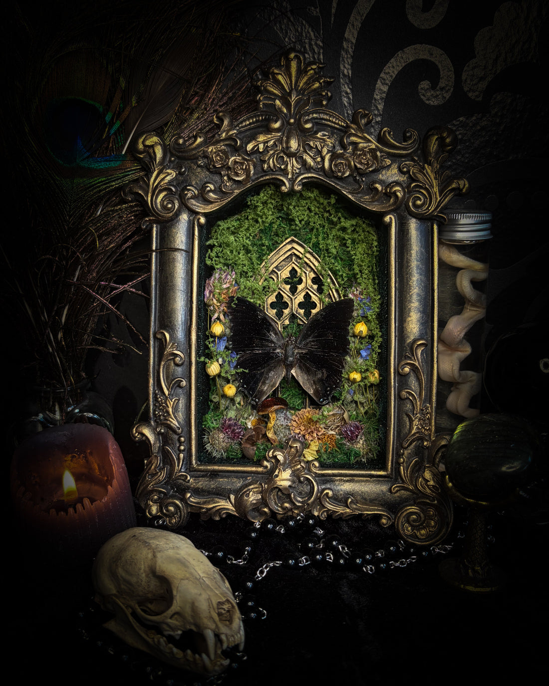 How to care for your shadowbox