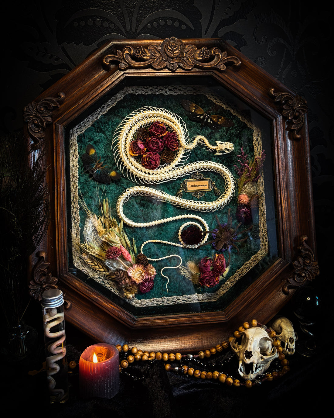 Handmade gothic shadowbox — articulated snake skeleton, preserved tarantula and cicadas, dried roses and botanicals on forest-green velvet, ornate wooden frame
