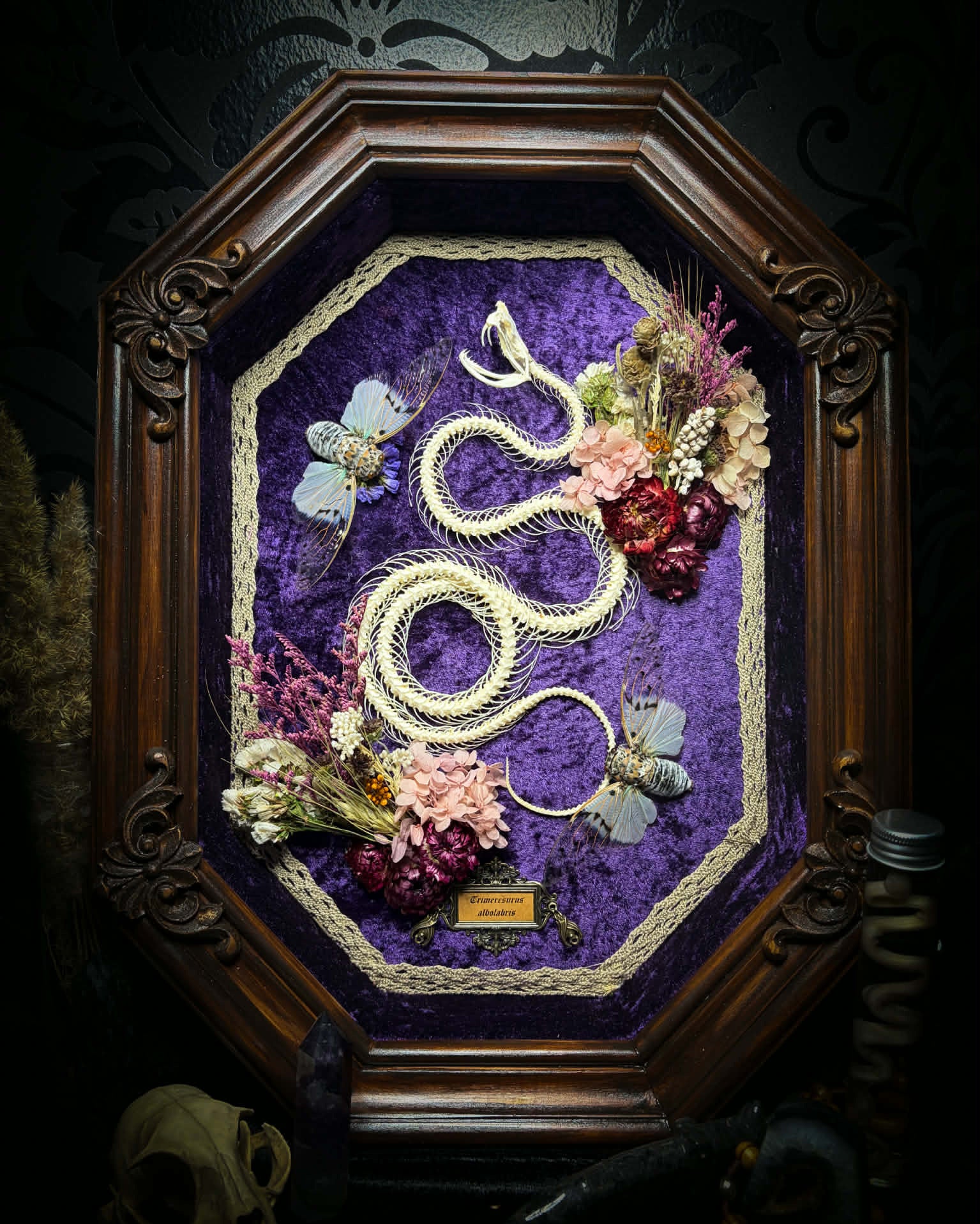 Gothic shadowbox — articulated snake skeleton on deep violet velvet, preserved florals, ghost cicadas, baroque wooden frame with gold accents, 45x35cm