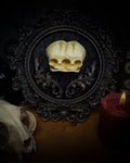 Decorative skull in an ornate frame with a lit candle on a dark background handmade gothic shadowbox conjoined infant skulls hand-cast ornamental frame black velvet dark wall decor