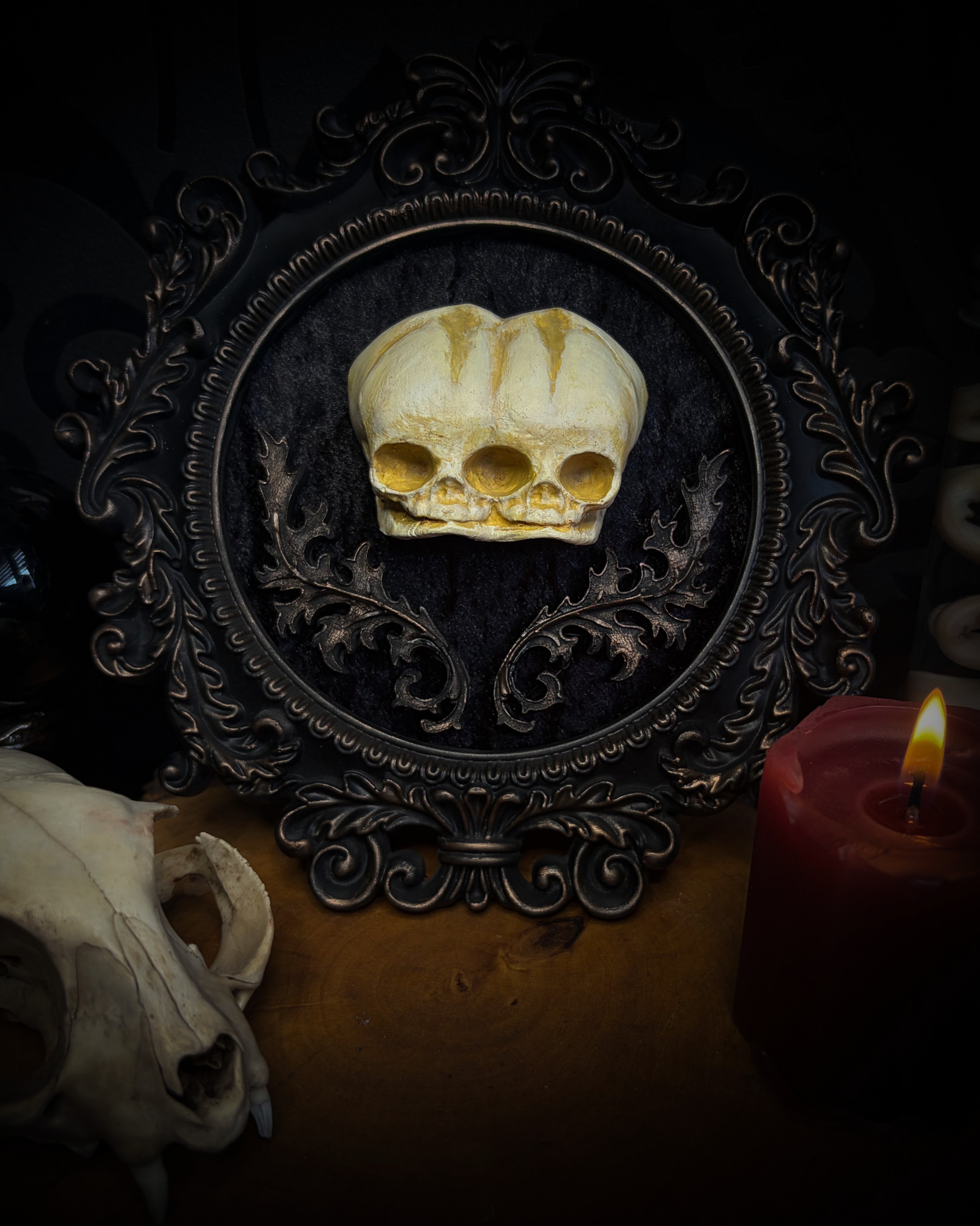 Decorative skull in an ornate frame with a lit candle on a dark background handmade gothic shadowbox conjoined infant skulls hand-cast ornamental frame black velvet dark wall decor