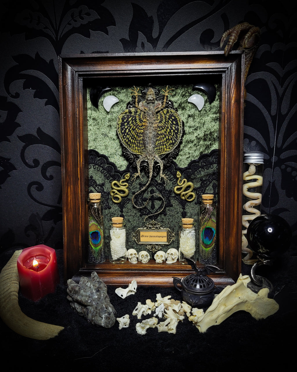 Moonaris — handmade gothic shadowbox, made to order. Preserved lizard specimen in wooden frame with black velvet and lace, quartz and obsidian crescent moons, snakeskin, peacock feathers, ornamental snakes and miniature skulls. Dark ritual wall decor, 27x21cm.