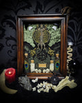 Moonaris — handmade gothic shadowbox, made to order. Preserved lizard specimen in wooden frame with black velvet and lace, quartz and obsidian crescent moons, snakeskin, peacock feathers, ornamental snakes and miniature skulls. Dark ritual wall decor, 27x21cm.