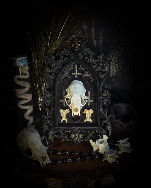 The Last Sacrament gothic frame with a mink skull, “blood” vial, two bird vertebrae and three inverted crosses on black velvet.