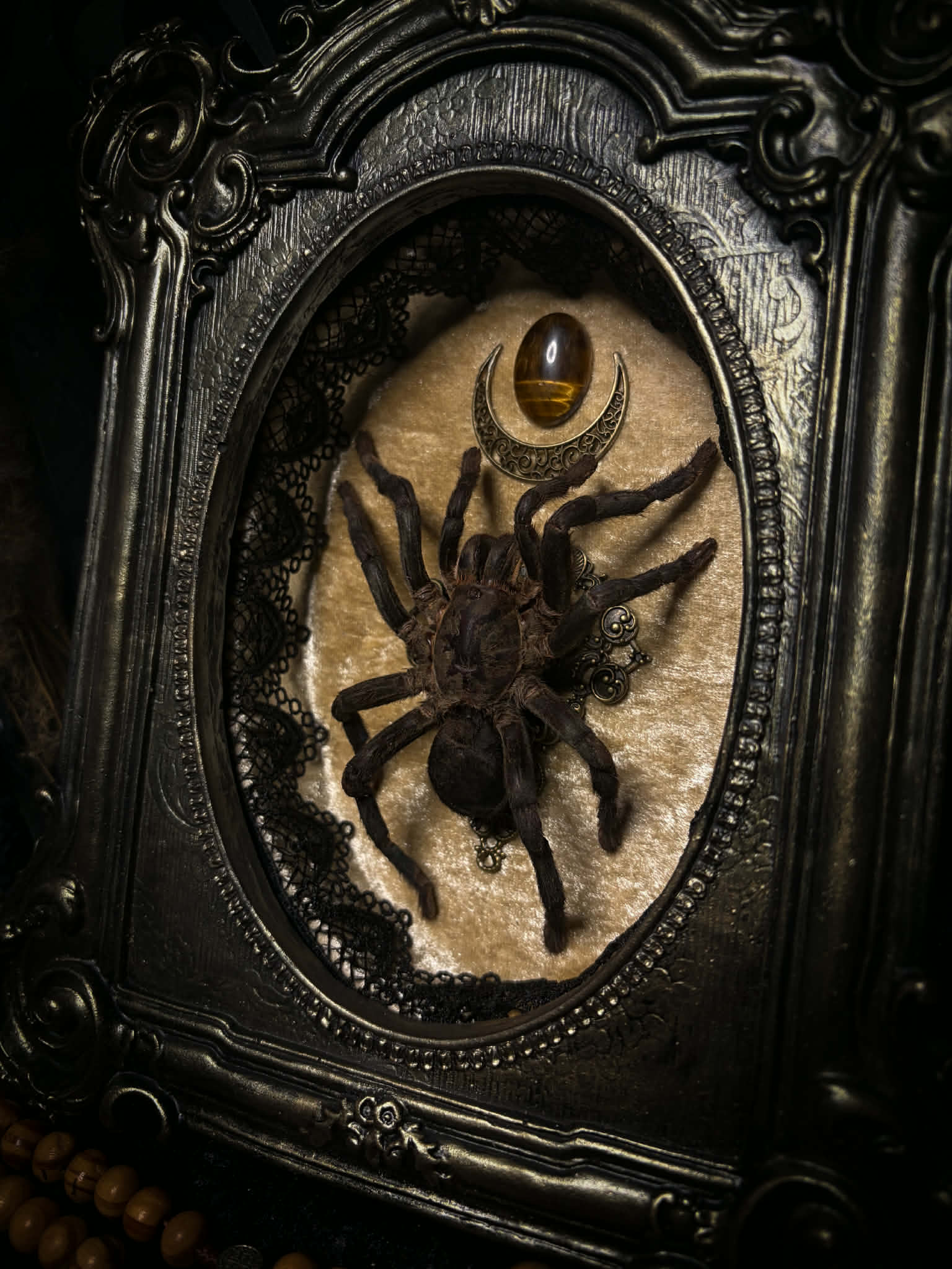 Sophistication — handmade gothic shadowbox, made to order. Real tarantula specimen on velvet background in ornate vintage-style frame with crystal accents and hand-finished metallic ornaments. Dark collectible wall decor, 22x30cm.