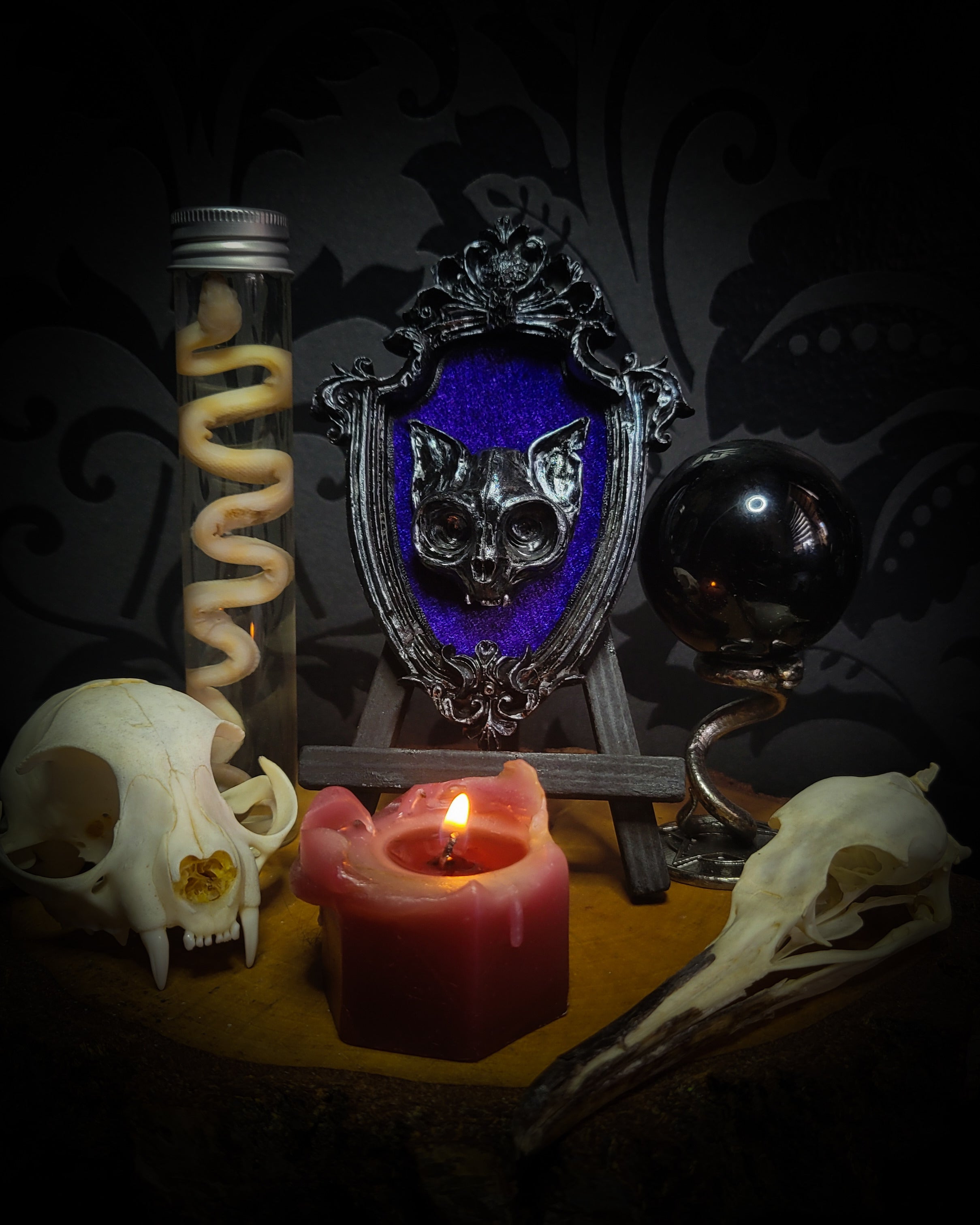 Handmade gothic shadowbox — hand-cast cat skull on velvet, ornate baroque frame, vampiric design, made to order, 8x12cm