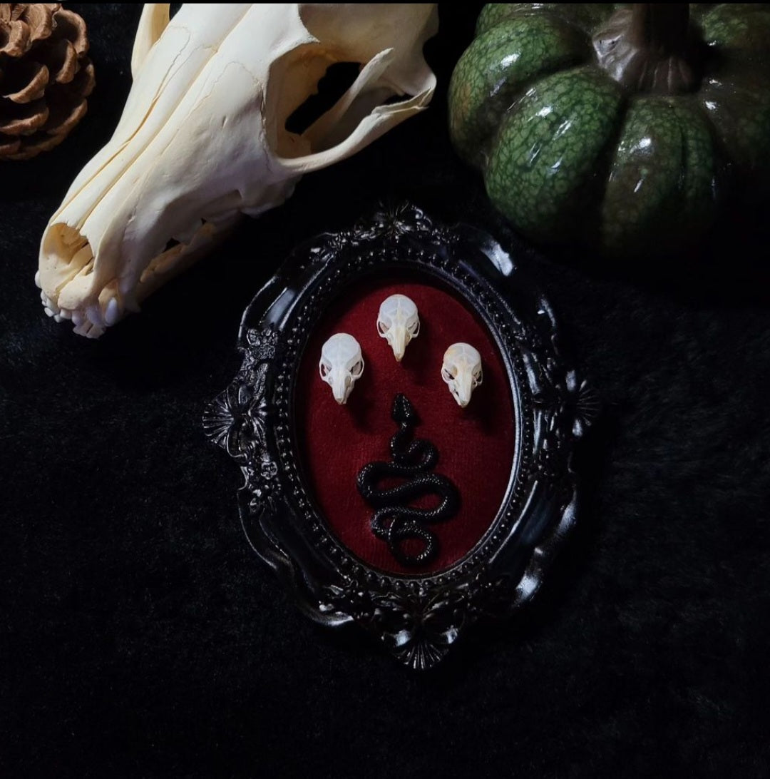 Handmade gothic wall frame featuring three real mouse skulls and a snake ornament, set against a dark velvet background. Ornate gothic frame, minimalist symmetrical composition with a dark ritual-inspired aesthetic. One-of-a-kind handcrafted piece, 12x10cm | Morbid Oddities