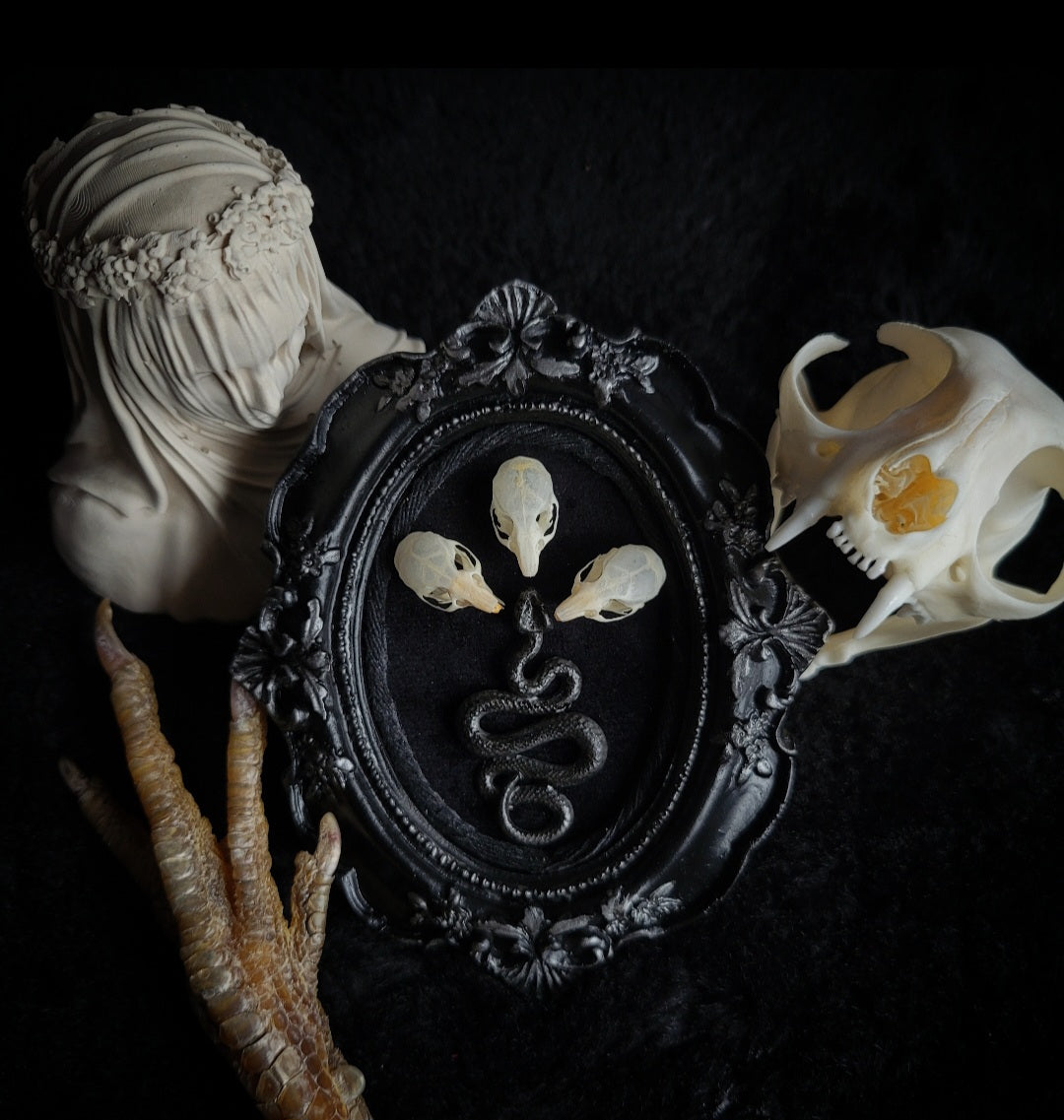Handmade gothic wall frame featuring three real mouse skulls and a snake ornament, set against a dark velvet background. Ornate gothic frame, minimalist symmetrical composition with a dark ritual-inspired aesthetic. One-of-a-kind handcrafted piece, 12x10cm | Morbid Oddities