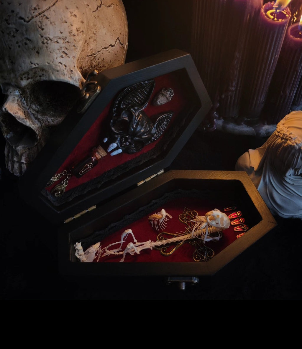 Count Mousula | Vampires — handmade gothic coffin display with preserved mouse skeleton, mummified heart, small skulls and bones on deep red velvet interior with lace ornaments, hinged lid, 15.5x9cm