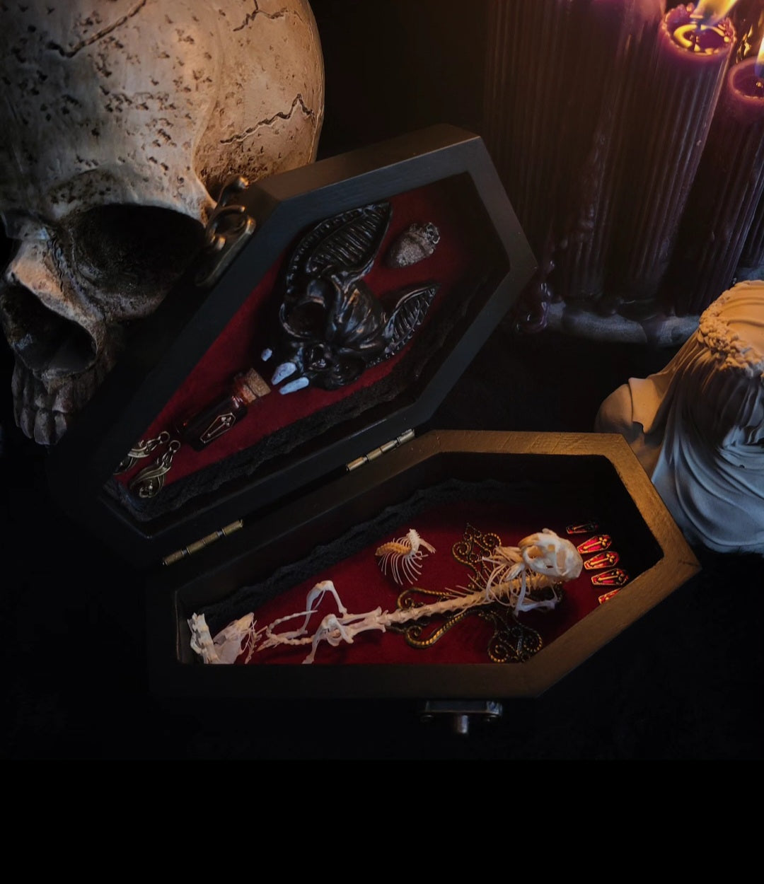 Count Mousula | Vampires — handmade gothic coffin display with preserved mouse skeleton, mummified heart, small skulls and bones on deep red velvet interior with lace ornaments, hinged lid, 15.5x9cm