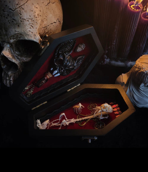 Count Mousula | Vampires — handmade gothic coffin display with preserved mouse skeleton, mummified heart, small skulls and bones on deep red velvet interior with lace ornaments, hinged lid, 15.5x9cm