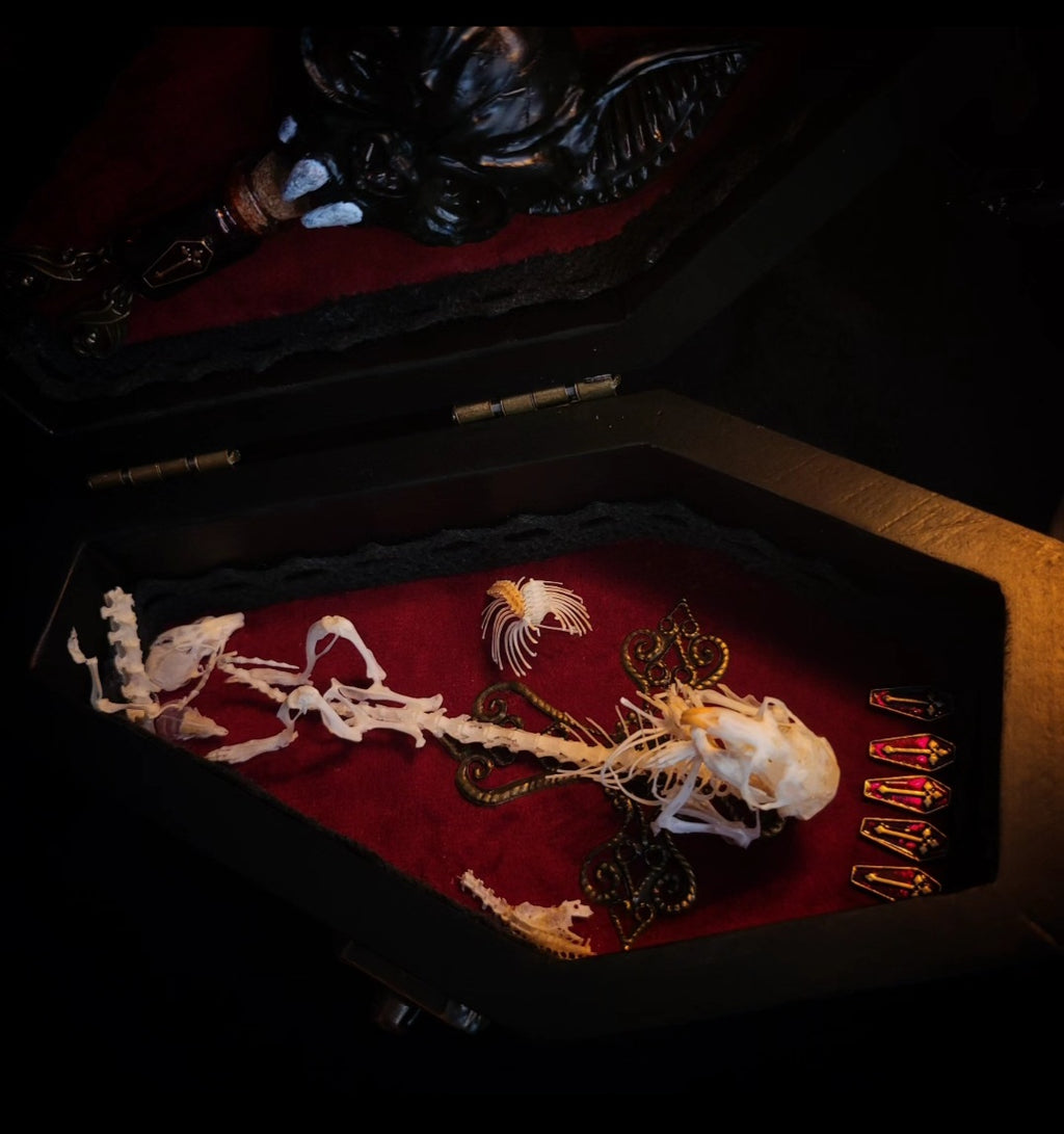 Count Mousula | Vampires — handmade gothic coffin display with preserved mouse skeleton, mummified heart, small skulls and bones on deep red velvet interior with lace ornaments, hinged lid, 15.5x9cm