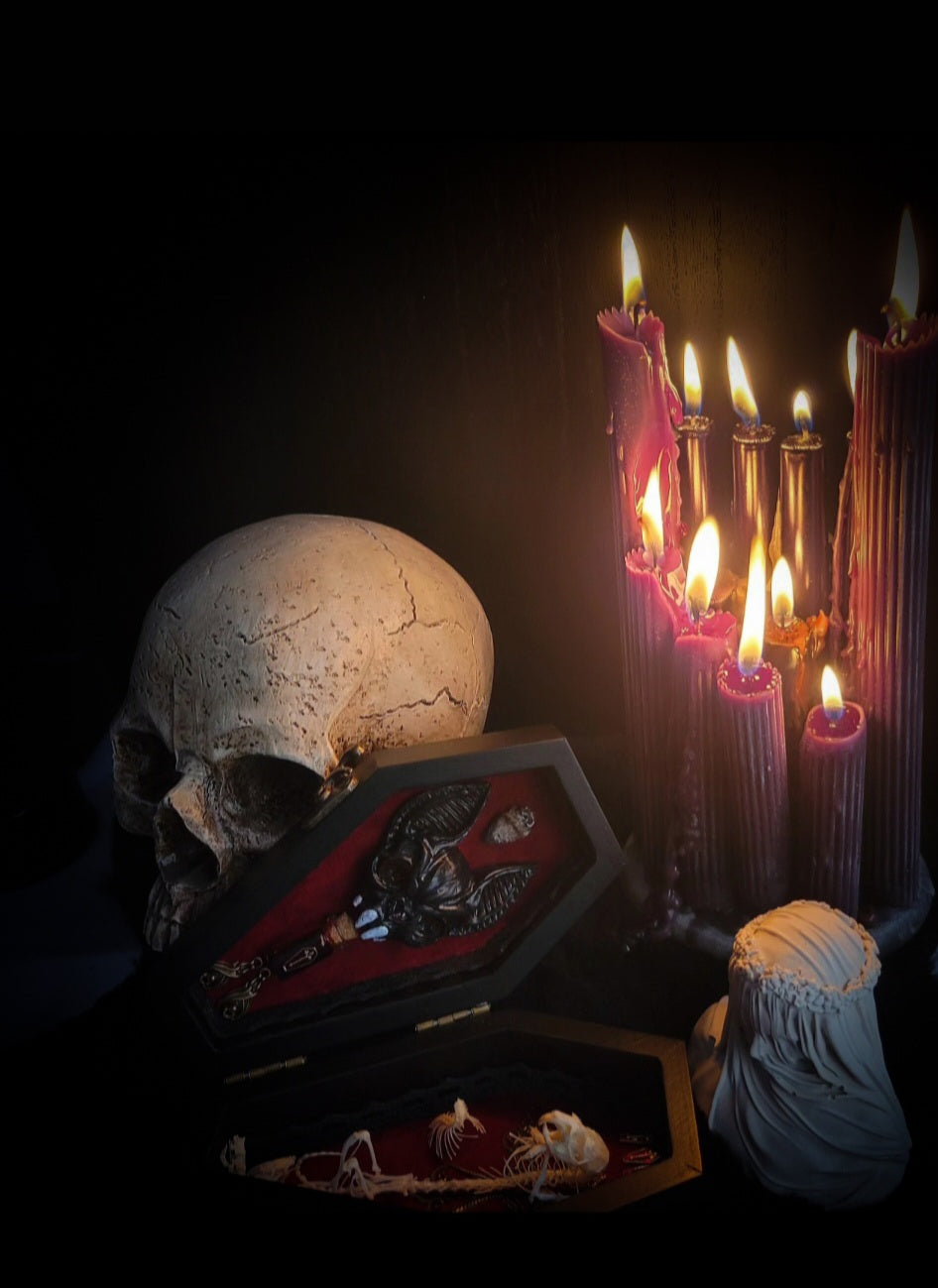 Count Mousula | Vampires — handmade gothic coffin display with preserved mouse skeleton, mummified heart, small skulls and bones on deep red velvet interior with lace ornaments, hinged lid, 15.5x9cm
