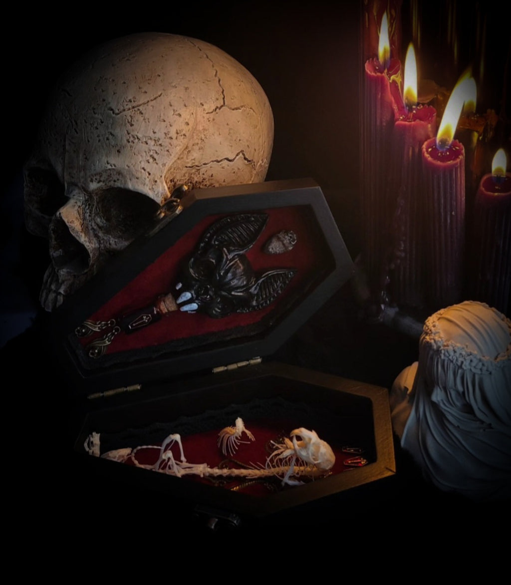 Count Mousula | Vampires — handmade gothic coffin display with preserved mouse skeleton, mummified heart, small skulls and bones on deep red velvet interior with lace ornaments, hinged lid, 15.5x9cm