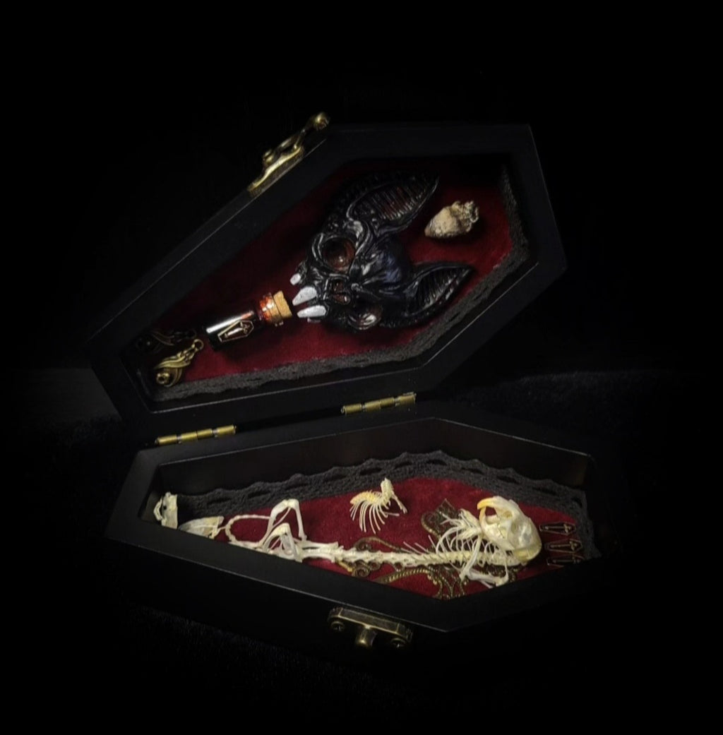 Count Mousula | Vampires — handmade gothic coffin display with preserved mouse skeleton, mummified heart, small skulls and bones on deep red velvet interior with lace ornaments, hinged lid, 15.5x9cm