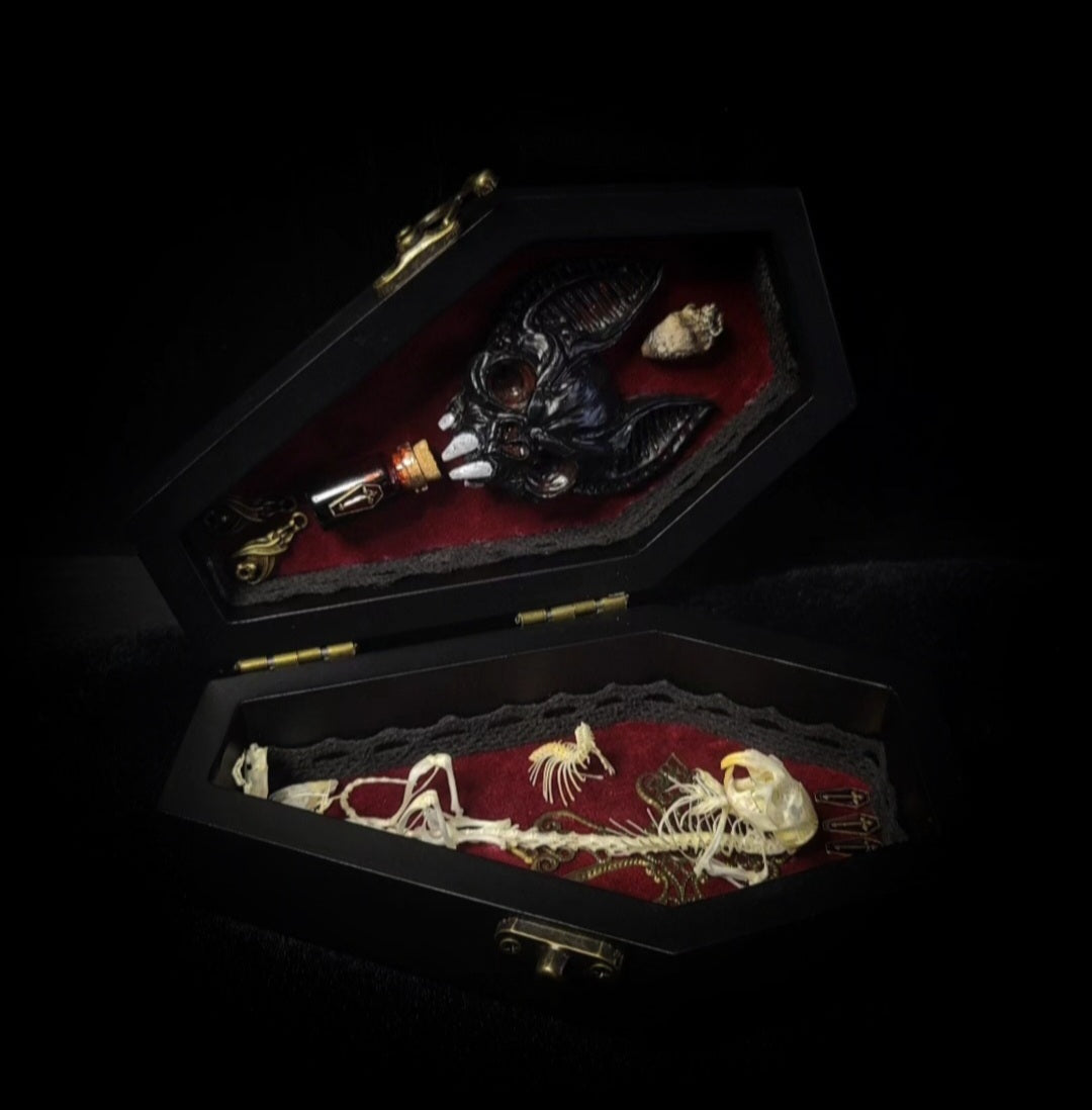 Count Mousula | Vampires — handmade gothic coffin display with preserved mouse skeleton, mummified heart, small skulls and bones on deep red velvet interior with lace ornaments, hinged lid, 15.5x9cm