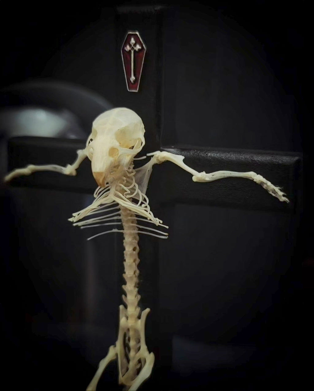 Crucifixa — handmade gothic glass dome display, made to order. Real mouse skeleton mounted on a cross under glass cloche on wooden base with occult elements, decorative bones and skeletal details. Dark ritual shrine decor.