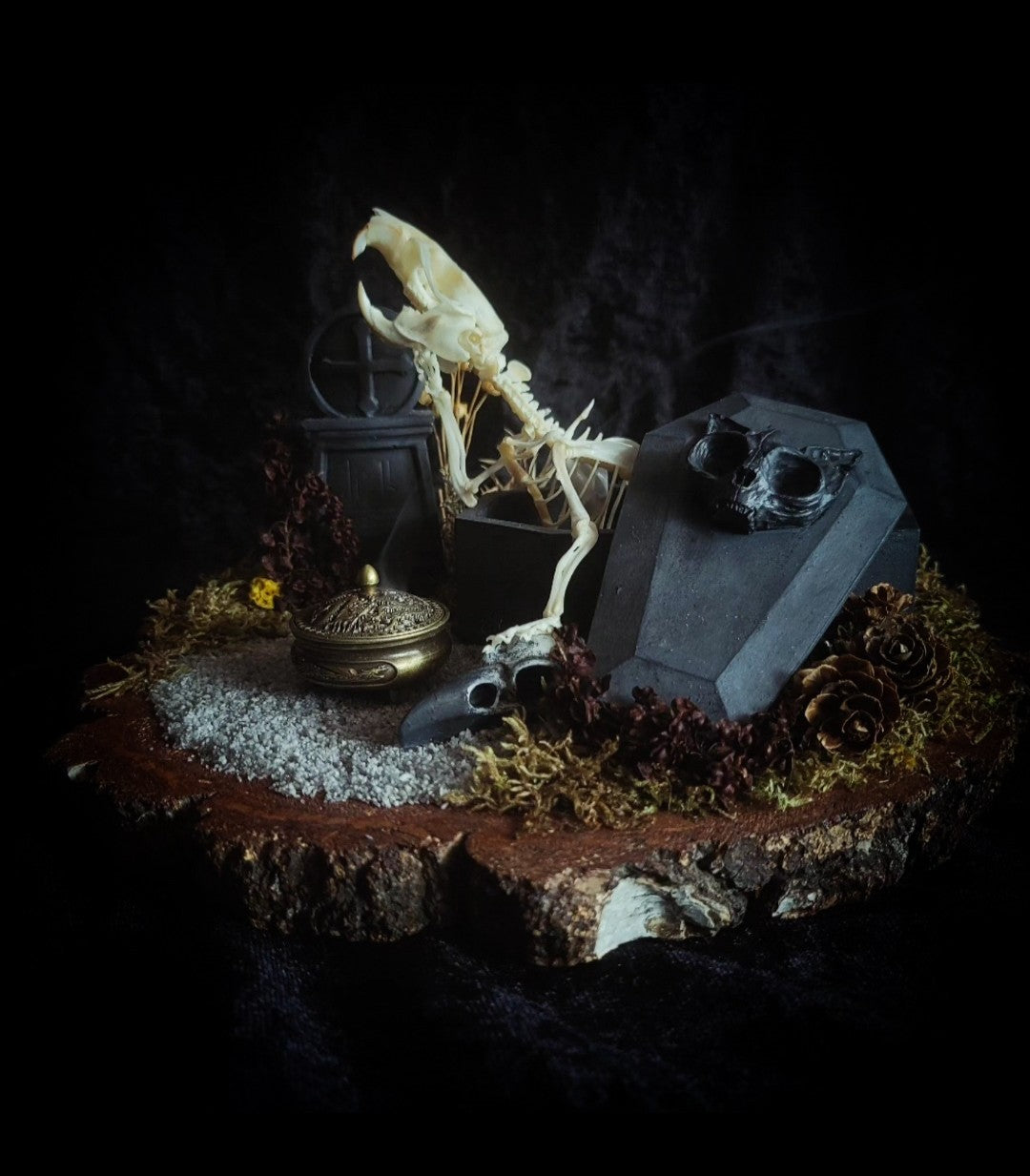 Abandoned Cemetery — handmade gothic display, real rat skeleton, hand-cast coffin, crow skull, birch wood base, forest elements, one of a kind, Morbid Oddities
