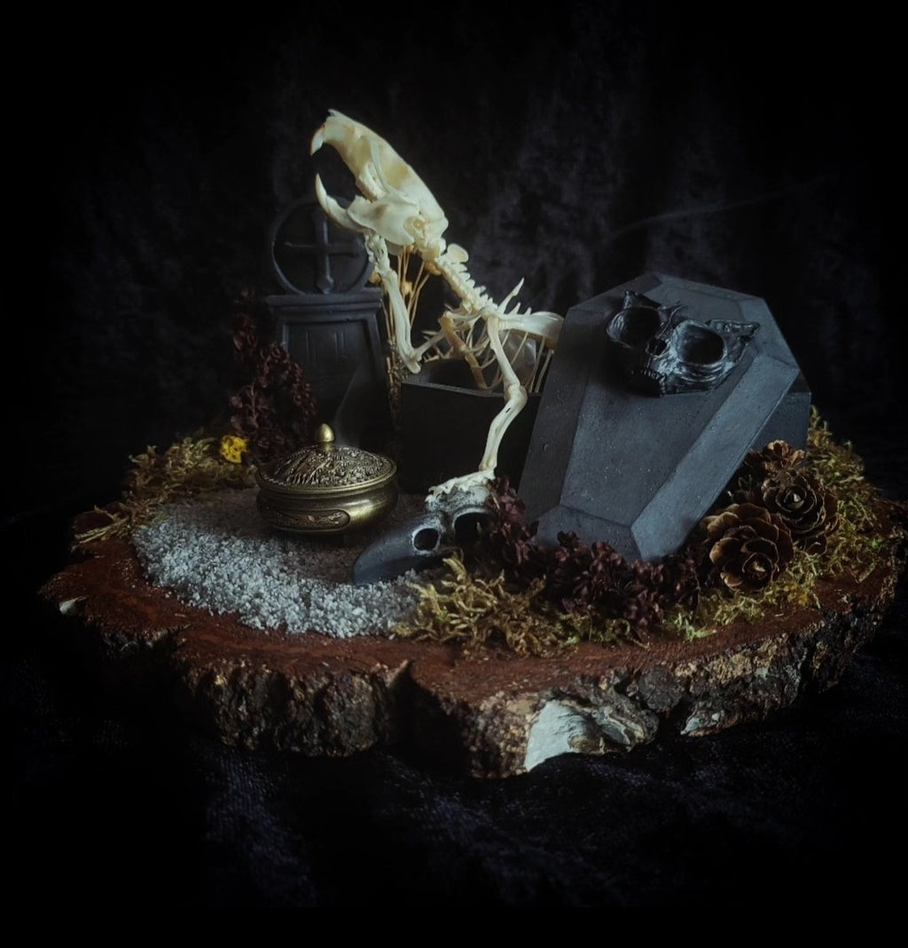 Abandoned Cemetery — handmade gothic display, real rat skeleton, hand-cast coffin, crow skull, birch wood base, forest elements, one of a kind, Morbid Oddities
