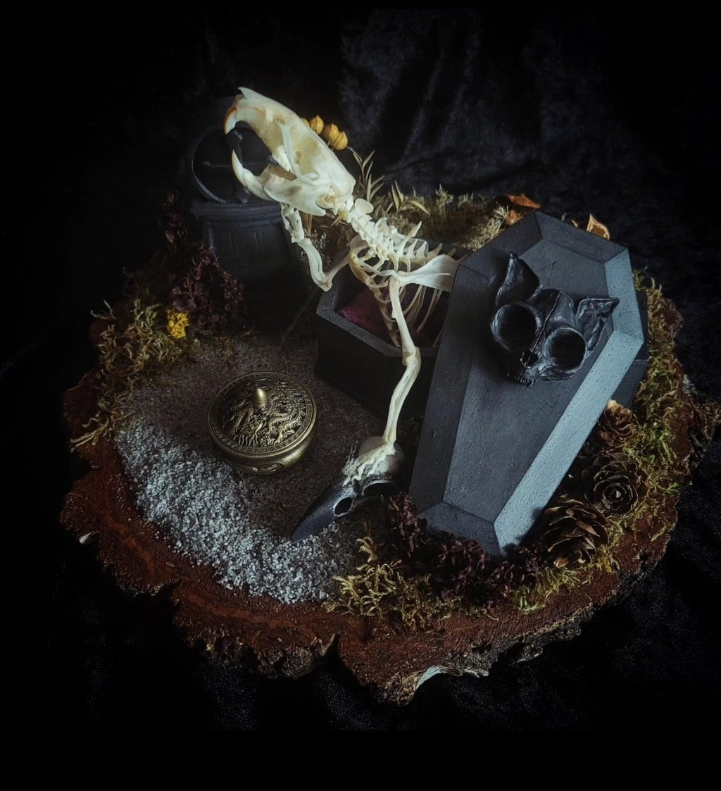 Abandoned Cemetery — handmade gothic display, real rat skeleton, hand-cast coffin, crow skull, birch wood base, forest elements, one of a kind, Morbid Oddities
