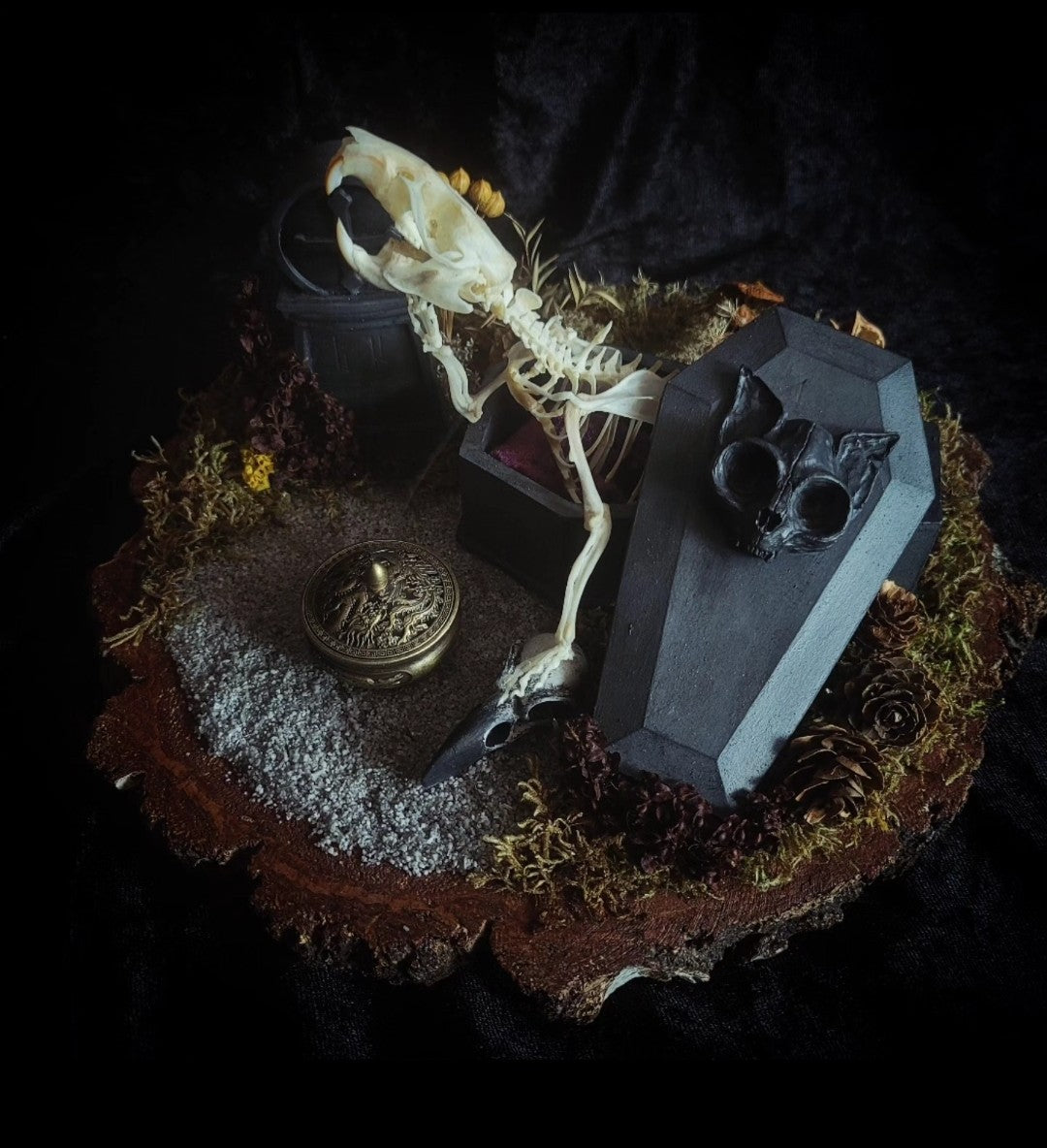 Abandoned Cemetery — handmade gothic display, real rat skeleton, hand-cast coffin, crow skull, birch wood base, forest elements, one of a kind, Morbid Oddities

