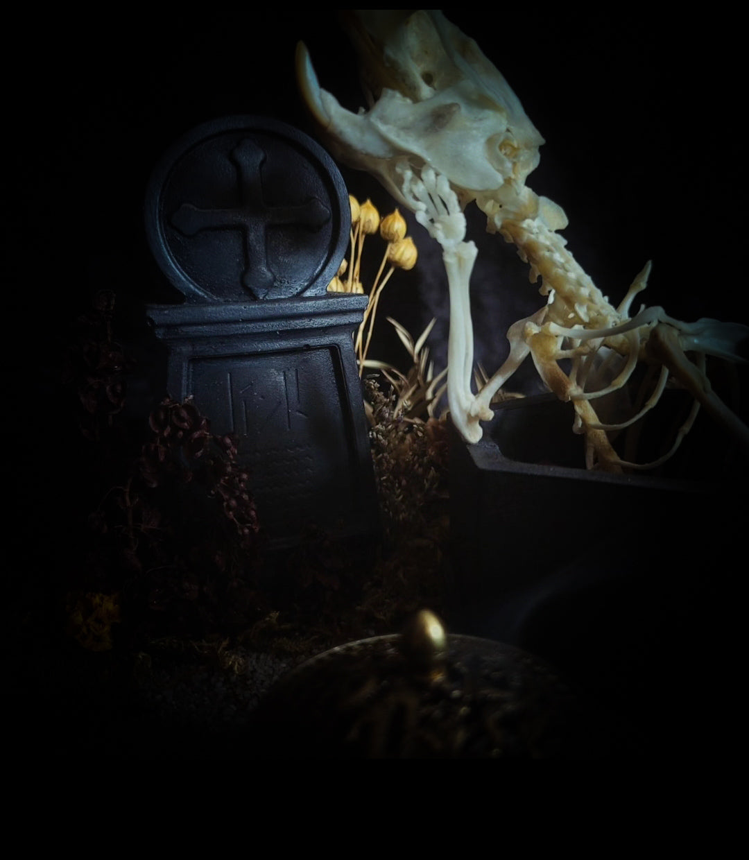 Abandoned Cemetery — handmade gothic display, real rat skeleton, hand-cast coffin, crow skull, birch wood base, forest elements, one of a kind, Morbid Oddities

