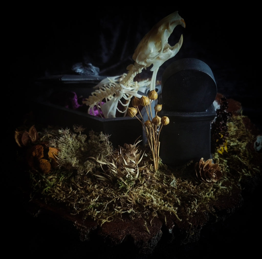 Abandoned Cemetery — handmade gothic display, real rat skeleton, hand-cast coffin, crow skull, birch wood base, forest elements, one of a kind, Morbid Oddities
