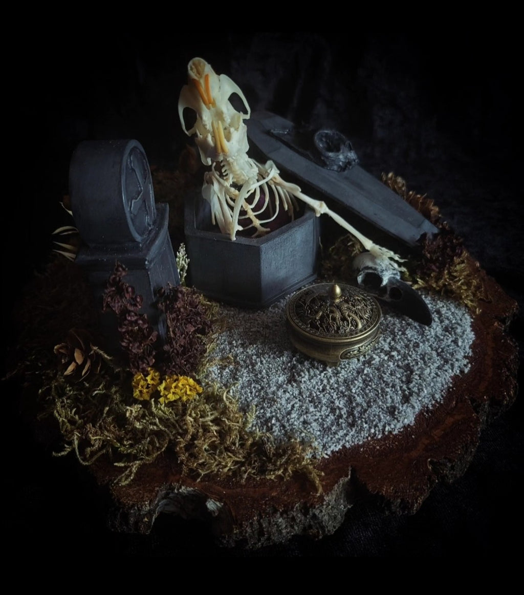 Abandoned Cemetery — handmade gothic display, real rat skeleton, hand-cast coffin, crow skull, birch wood base, forest elements, one of a kind, Morbid Oddities
