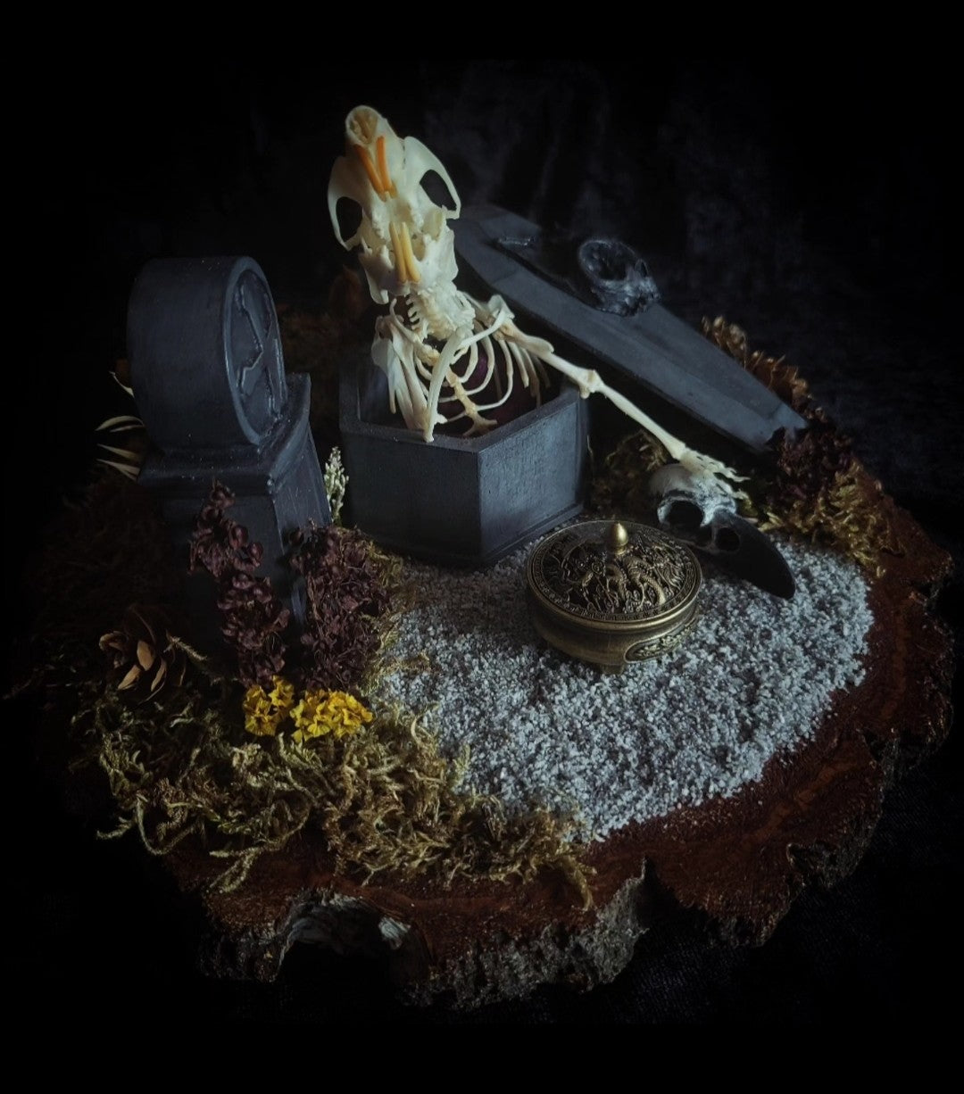 Abandoned Cemetery — handmade gothic display, real rat skeleton, hand-cast coffin, crow skull, birch wood base, forest elements, one of a kind, Morbid Oddities
