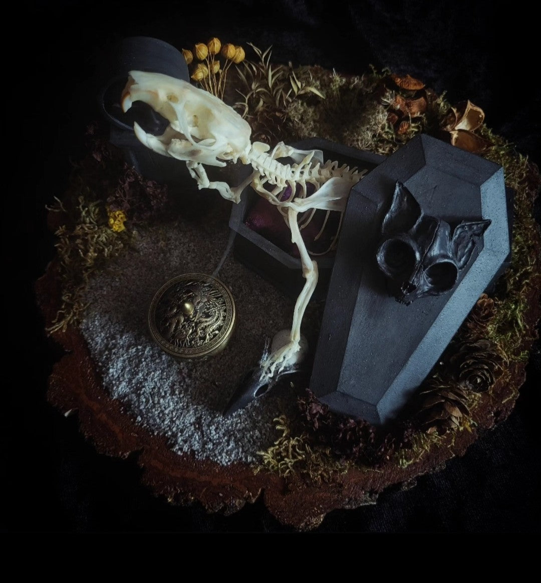 Abandoned Cemetery — handmade gothic display, real rat skeleton, hand-cast coffin, crow skull, birch wood base, forest elements, one of a kind, Morbid Oddities

