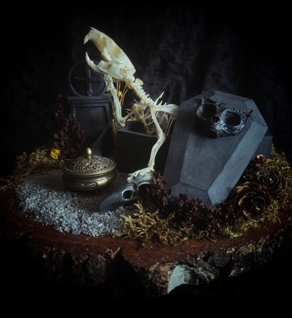Abandoned Cemetery — handmade gothic display, real rat skeleton, hand-cast coffin, crow skull, birch wood base, forest elements, one of a kind, Morbid Oddities
