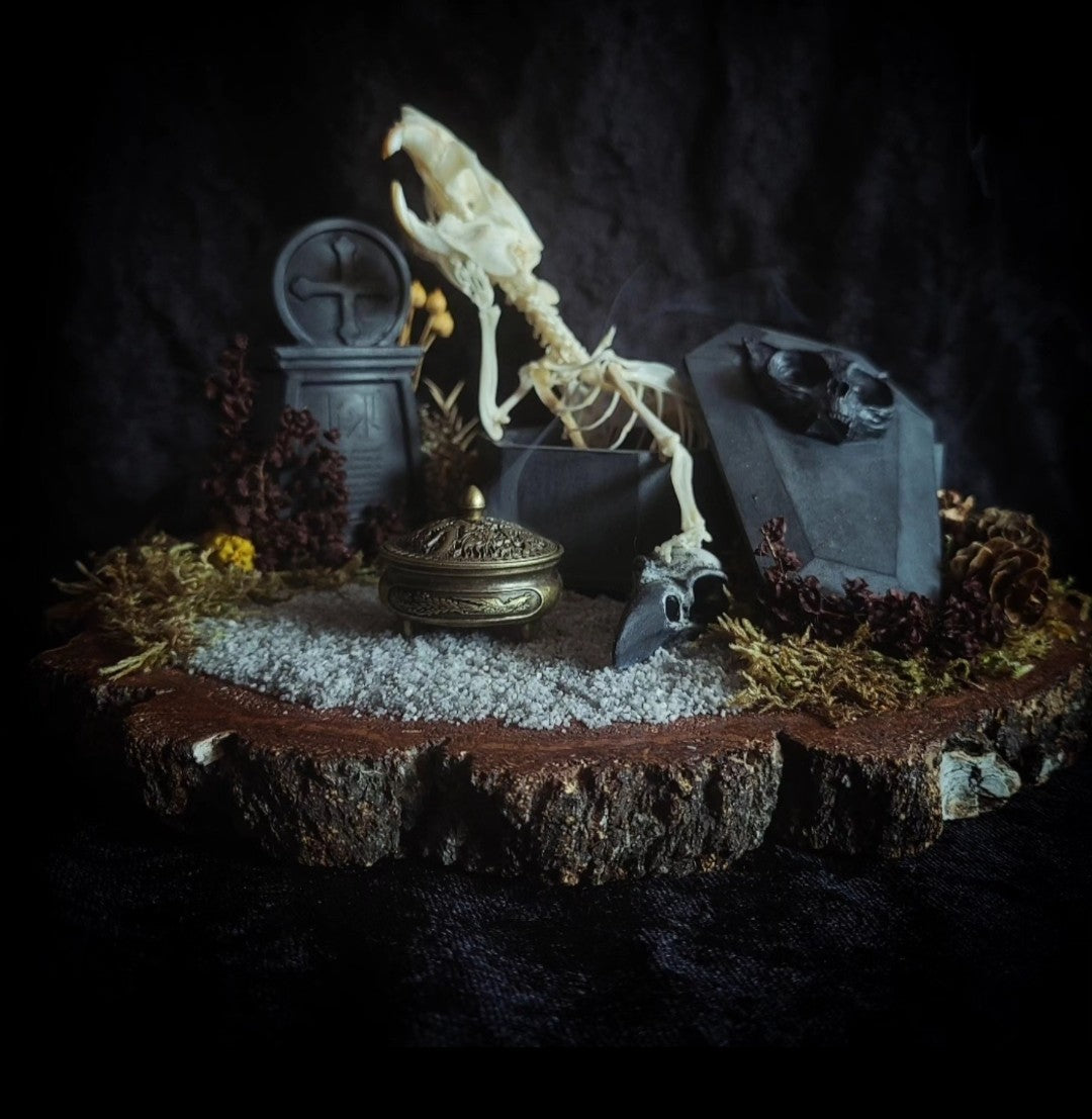 Abandoned Cemetery — handmade gothic display, real rat skeleton, hand-cast coffin, crow skull, birch wood base, forest elements, one of a kind, Morbid Oddities
