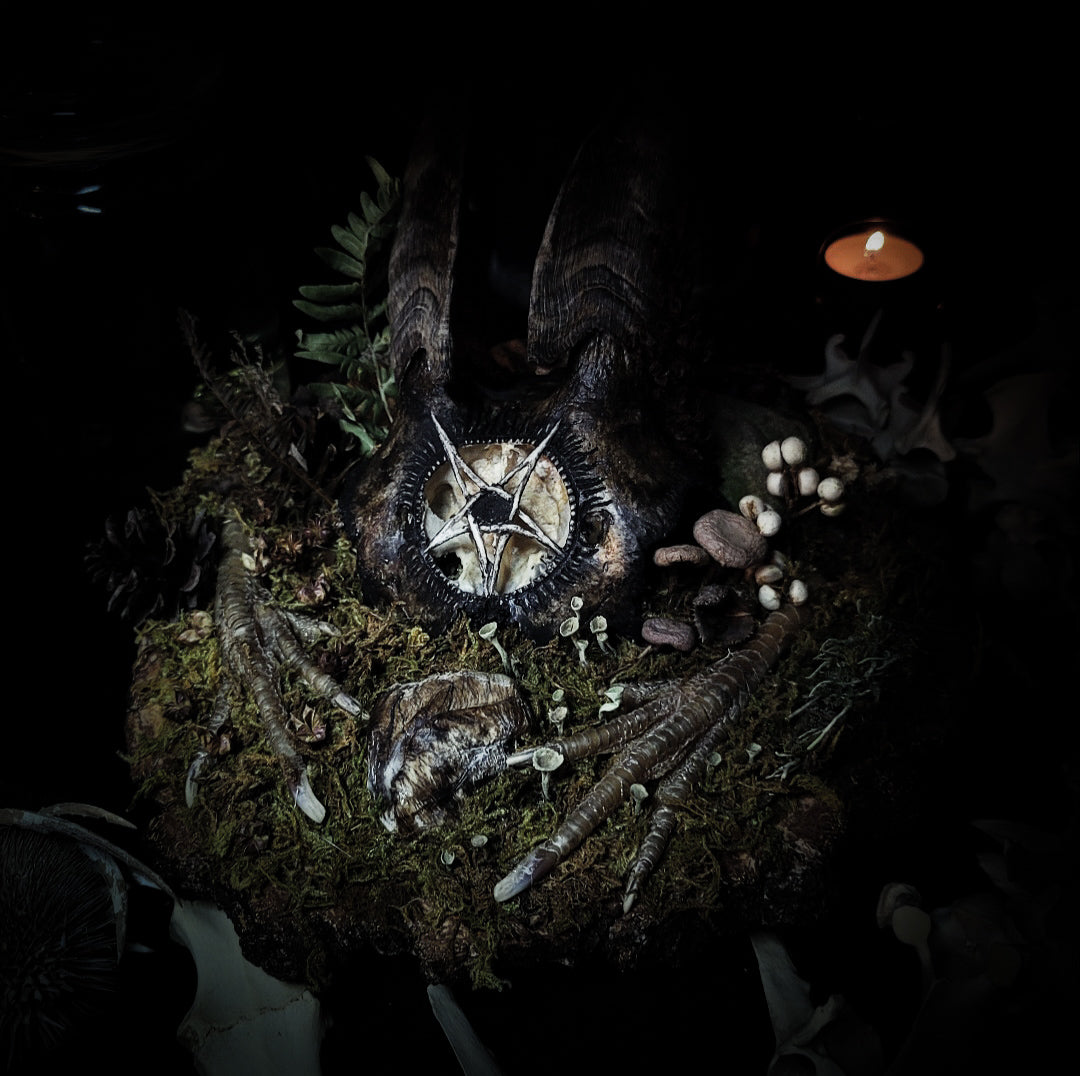 Obscura — handmade gothic witch altar, real goat skull, inverted pentagram, preserved badger heart, birch wood base, forest botanicals, one of a kind, Morbid Oddities
