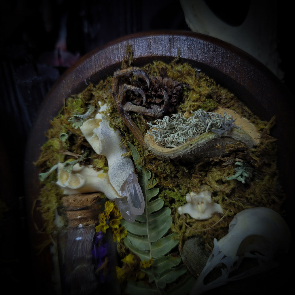 Silva triformis — handmade gothic forest triptych, real bones, moss, botanicals, rock crystals, ornate wooden frames, one of a kind, Morbid Oddities
