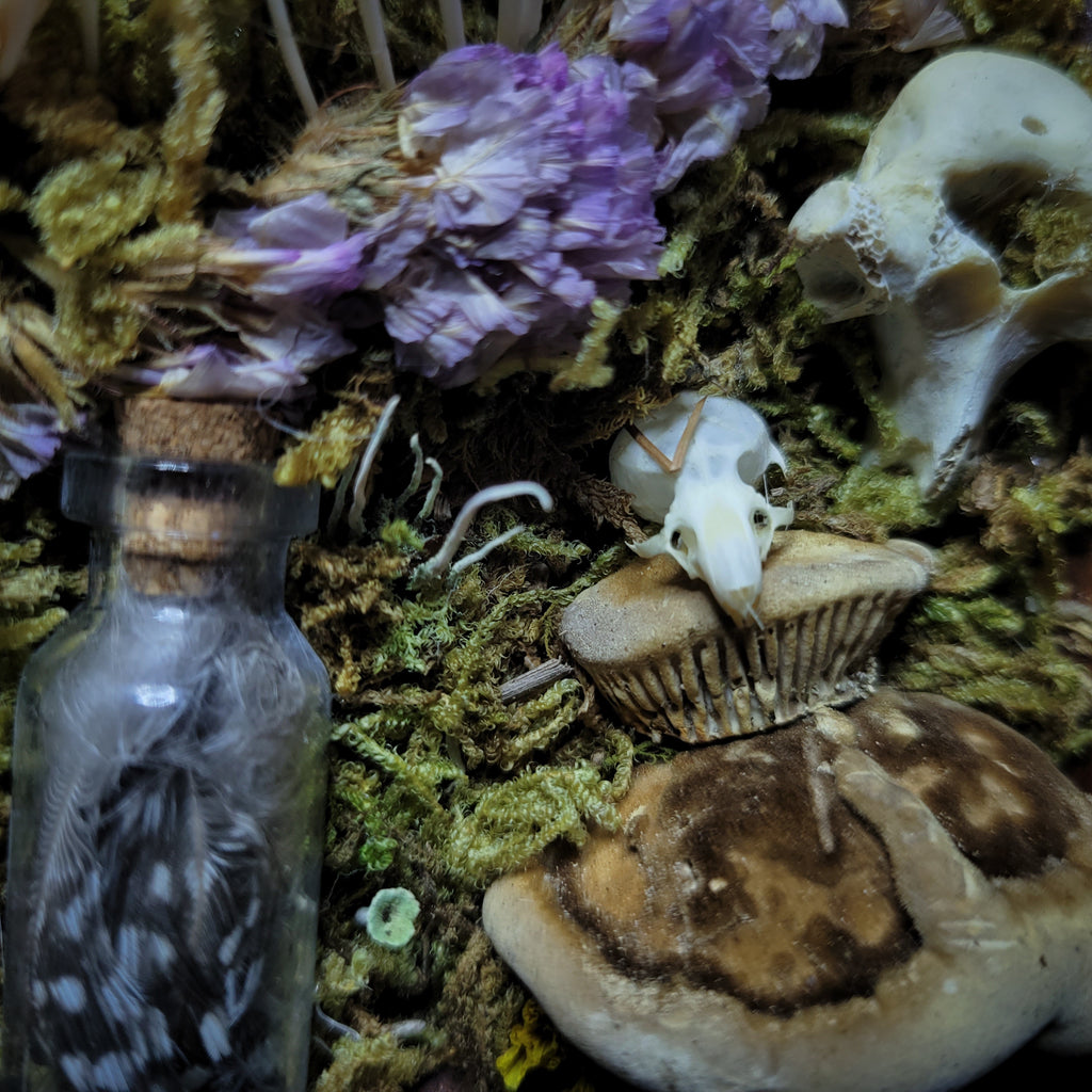 Silva triformis — handmade gothic forest triptych, real bones, moss, botanicals, rock crystals, ornate wooden frames, one of a kind, Morbid Oddities
