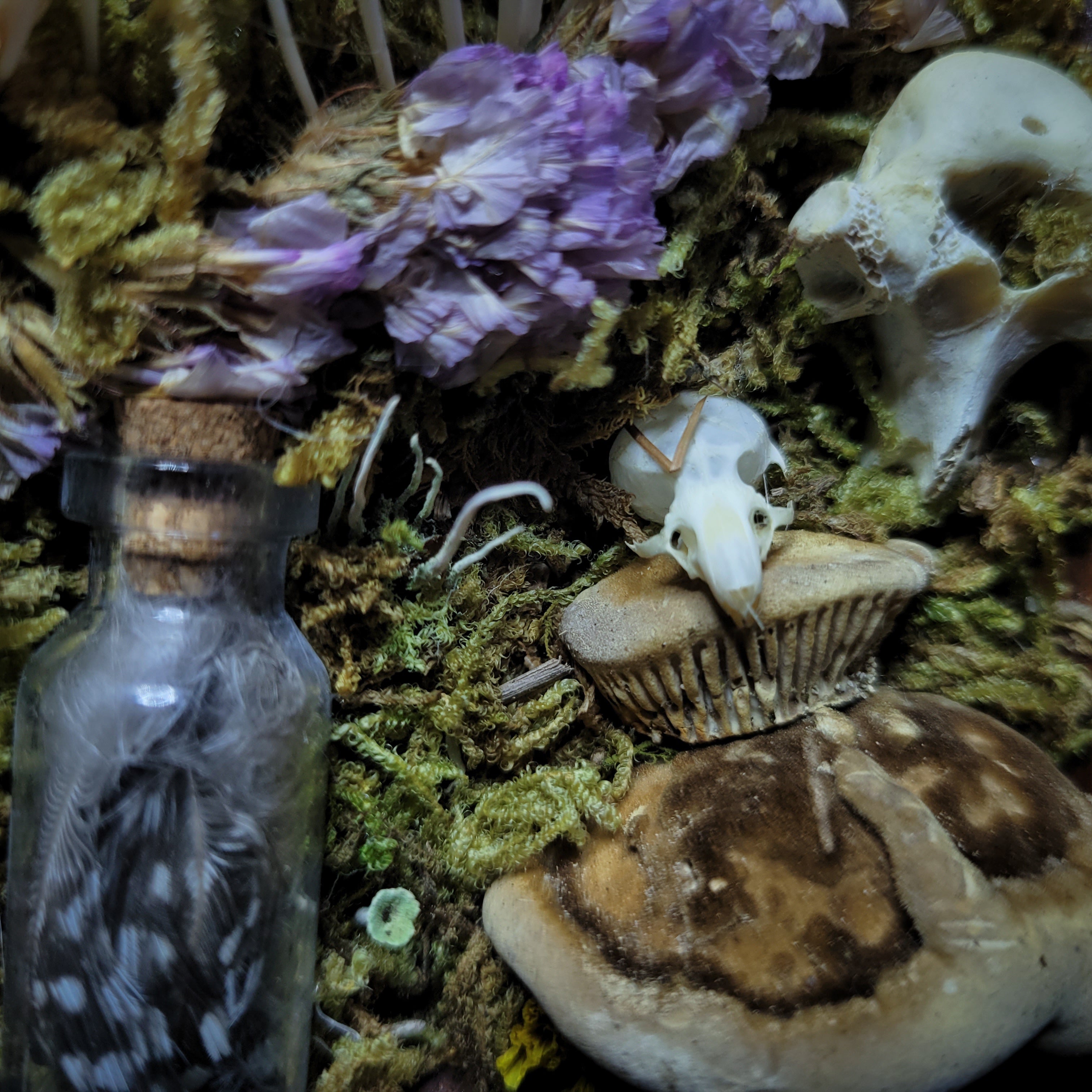 Silva triformis — handmade gothic forest triptych, real bones, moss, botanicals, rock crystals, ornate wooden frames, one of a kind, Morbid Oddities
