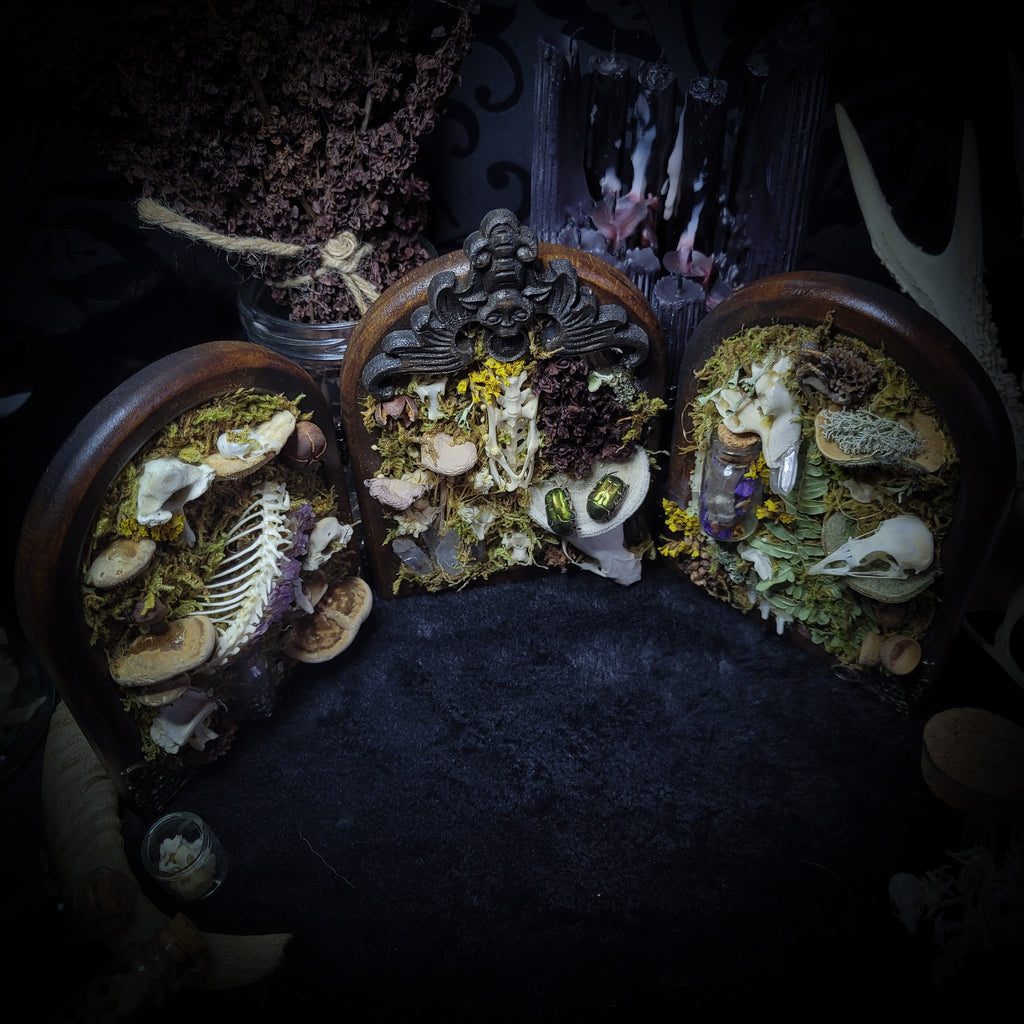 Silva triformis — handmade gothic forest triptych, real bones, moss, botanicals, rock crystals, ornate wooden frames, one of a kind, Morbid Oddities
