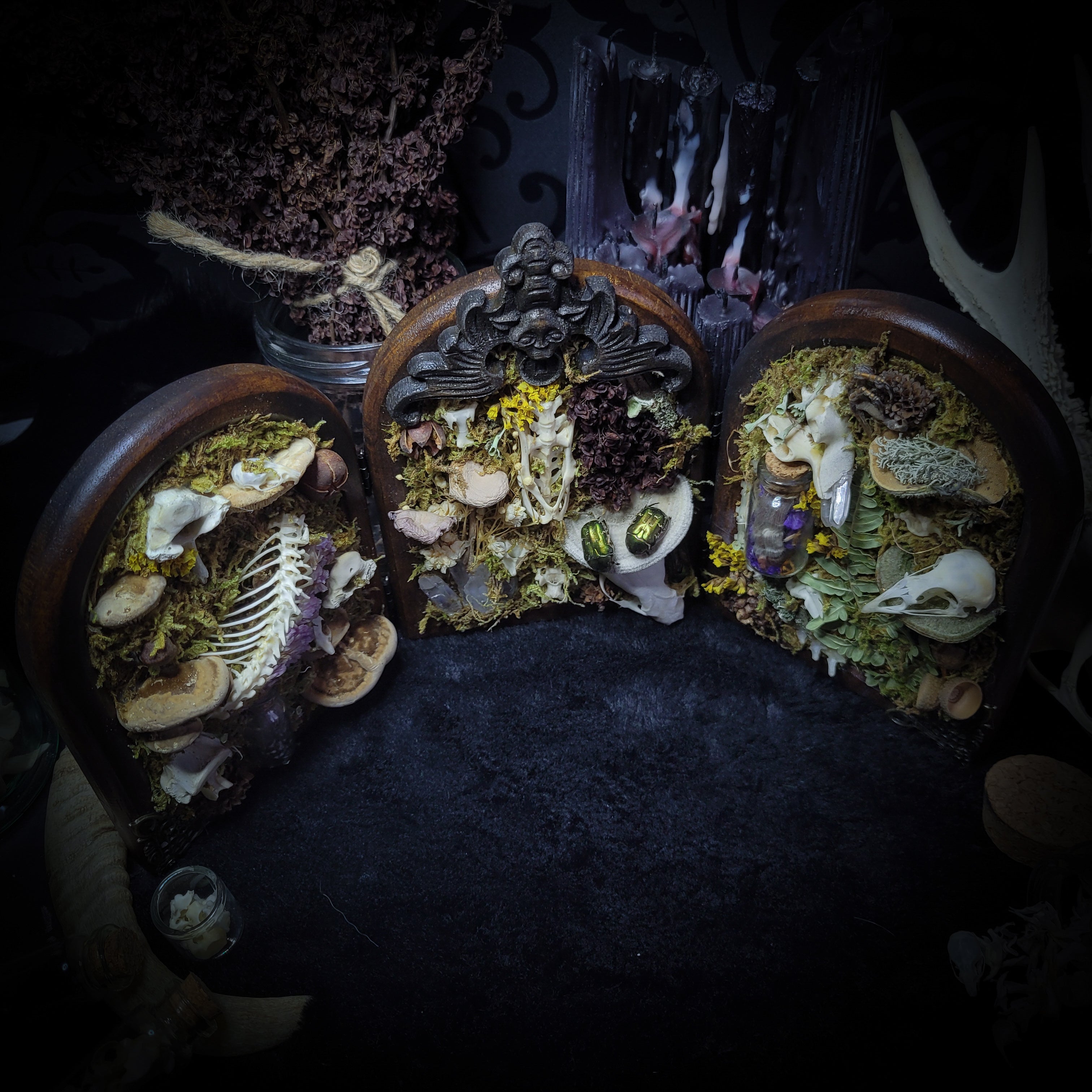 Silva triformis — handmade gothic forest triptych, real bones, moss, botanicals, rock crystals, ornate wooden frames, one of a kind, Morbid Oddities
