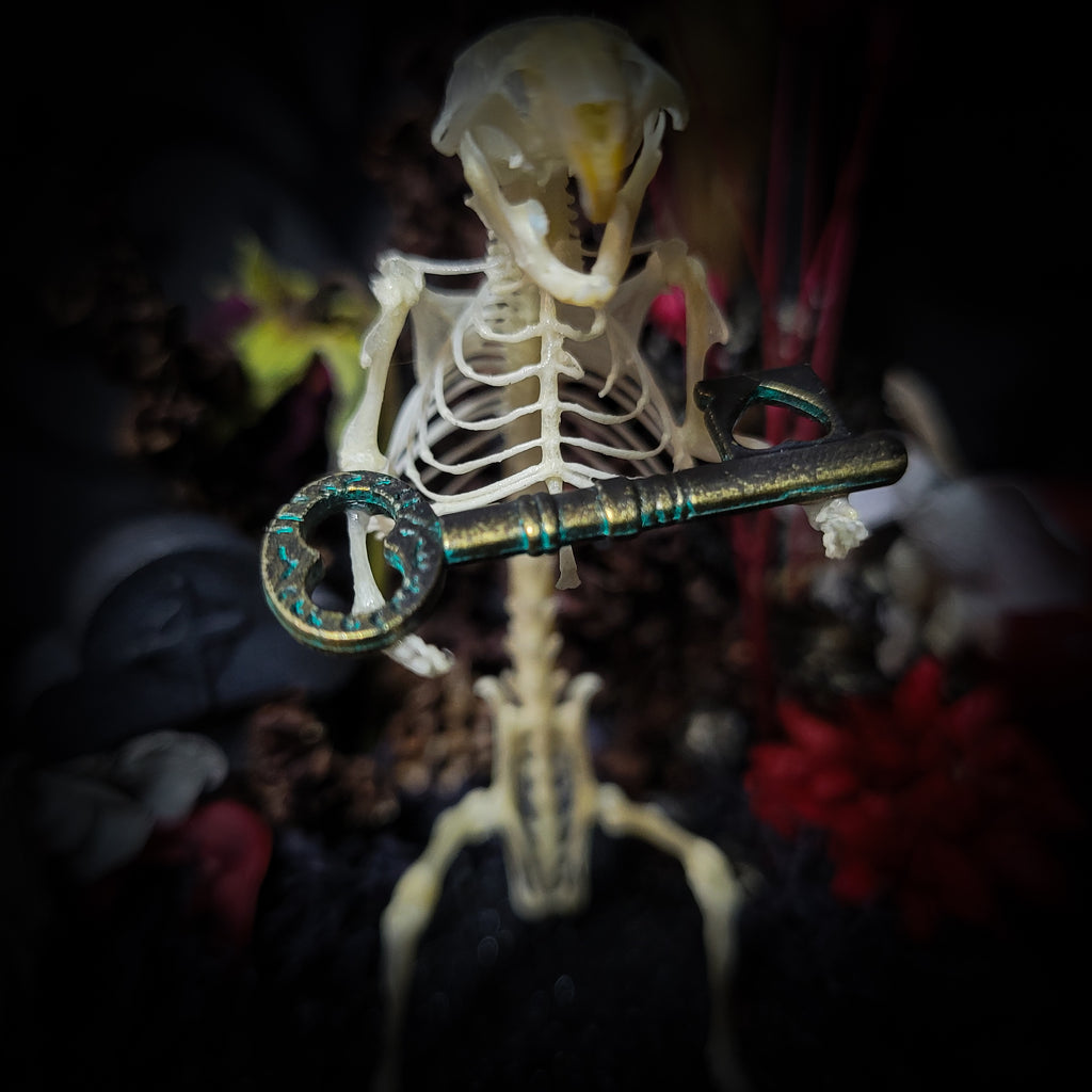 Key-keeper | Gothic — handmade gothic display with real mouse skeleton, ornamented key, miniature tombstone, preserved florals and Latin inscription plaque under glass dome on hand-painted wooden base, 17.5x11cm