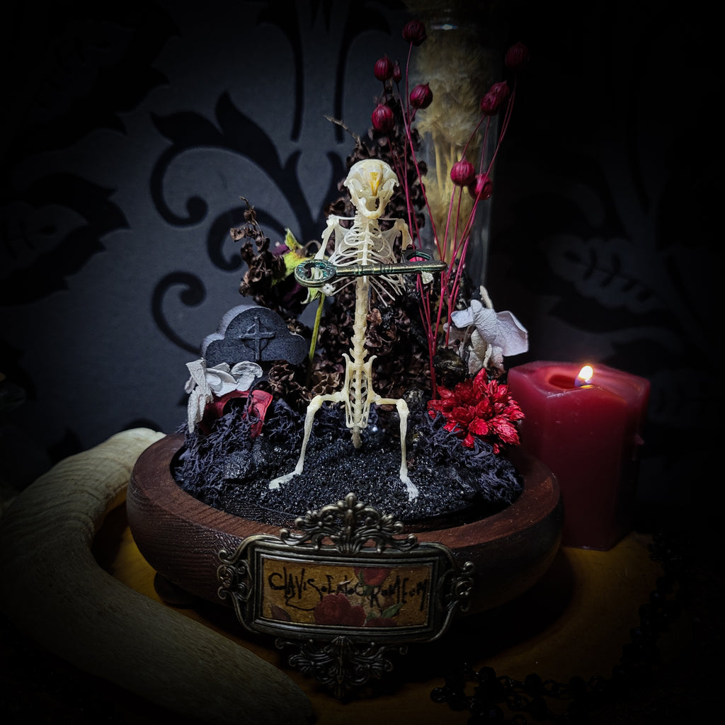 Key-keeper | Gothic — handmade gothic display with real mouse skeleton, ornamented key, miniature tombstone, preserved florals and Latin inscription plaque under glass dome on hand-painted wooden base, 17.5x11cm