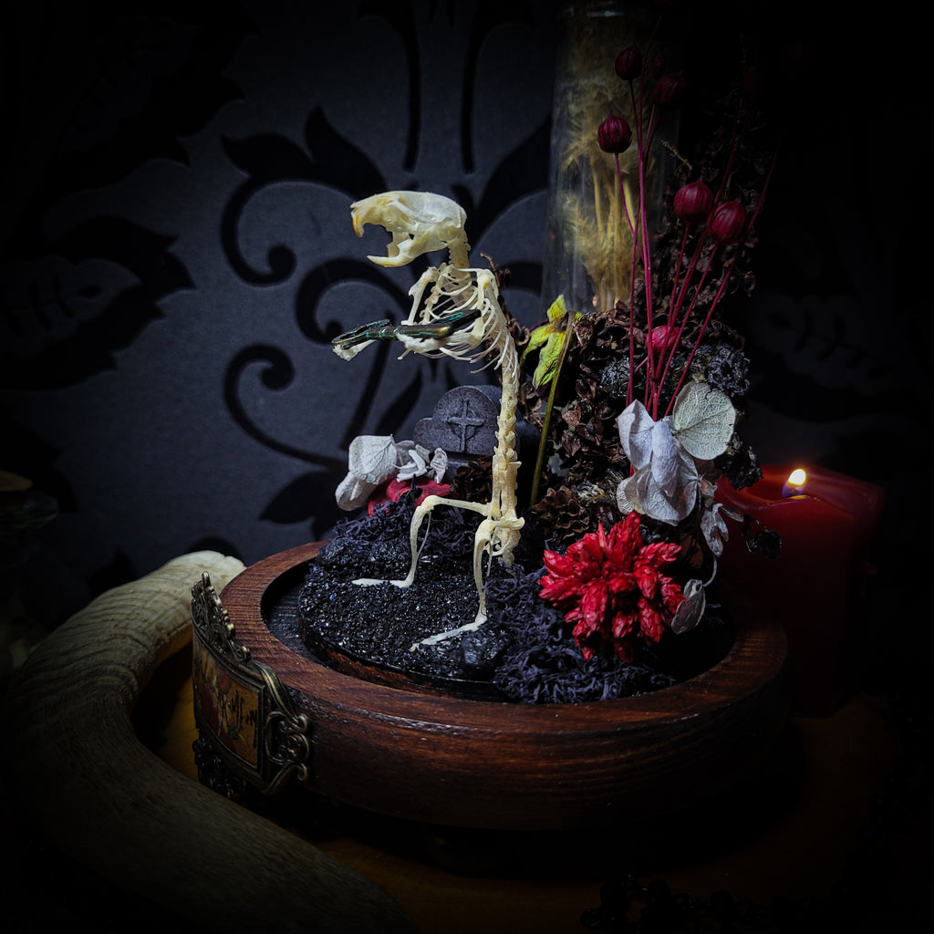 Key-keeper | Gothic — handmade gothic display with real mouse skeleton, ornamented key, miniature tombstone, preserved florals and Latin inscription plaque under glass dome on hand-painted wooden base, 17.5x11cm