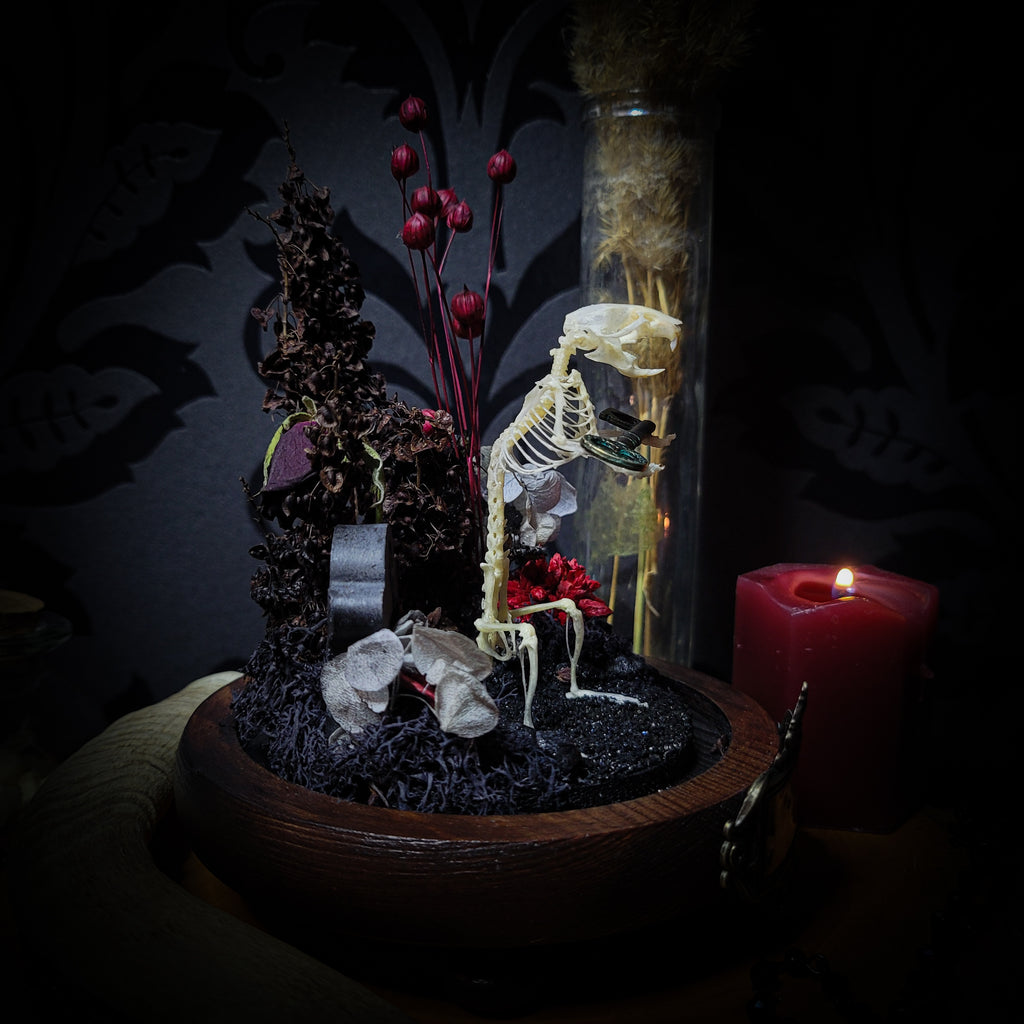 Key-keeper | Gothic — handmade gothic display with real mouse skeleton, ornamented key, miniature tombstone, preserved florals and Latin inscription plaque under glass dome on hand-painted wooden base, 17.5x11cm