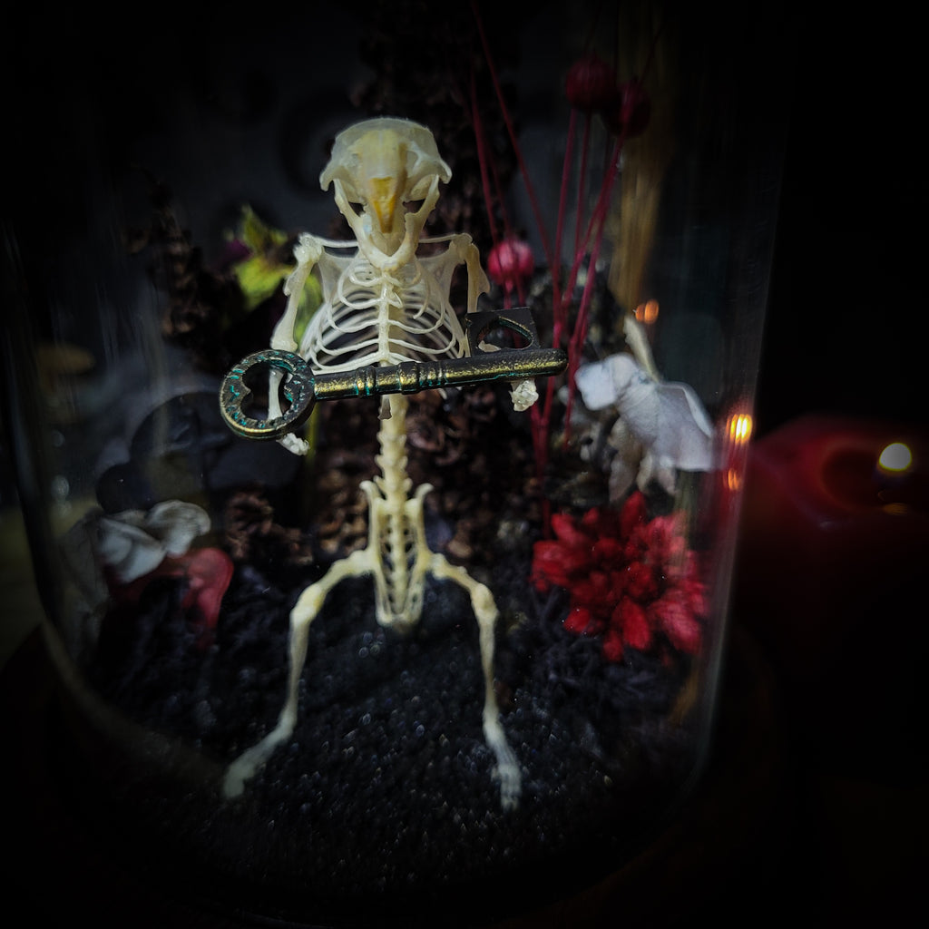 Key-keeper | Gothic — handmade gothic display with real mouse skeleton, ornamented key, miniature tombstone, preserved florals and Latin inscription plaque under glass dome on hand-painted wooden base, 17.5x11cm