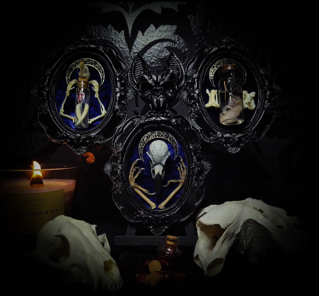 Triptych — handmade gothic triptych shadowbox, made to order. Set of 3 conjoined ornate gothic frames with real bones, skulls and decorative elements, fully hand-assembled. Dark collectible wall decor commission by Morbid Oddities.