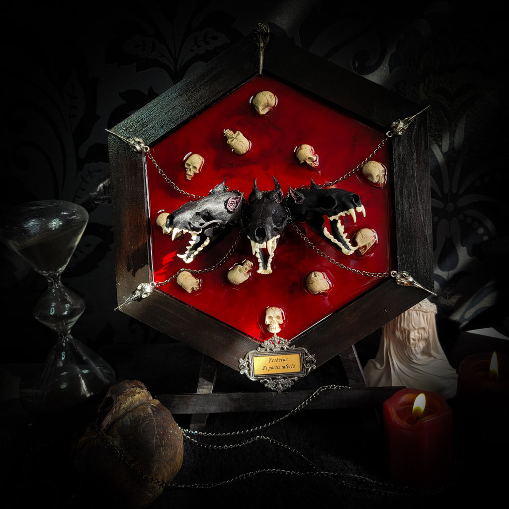 Decorative display with animal skulls and a red liquid in a hexagonal container, surrounded by dark decor. Cerberus | Collectors Work — handmade gothic wall decor with three real mink skulls, sculpted ears and tongues, decorative chains, silver crow ornaments and Latin inscription plaque on deep red velvet, hexagon frame, 23x27cm