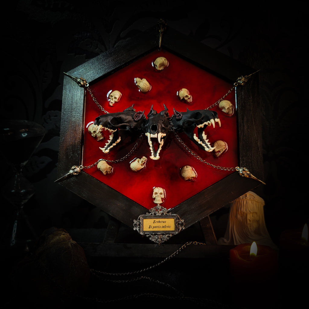 Cerberus | Collectors Work — handmade gothic wall decor with three real mink skulls, sculpted ears and tongues, decorative chains, silver crow ornaments and Latin inscription plaque on deep red velvet, hexagon frame, 23x27cm