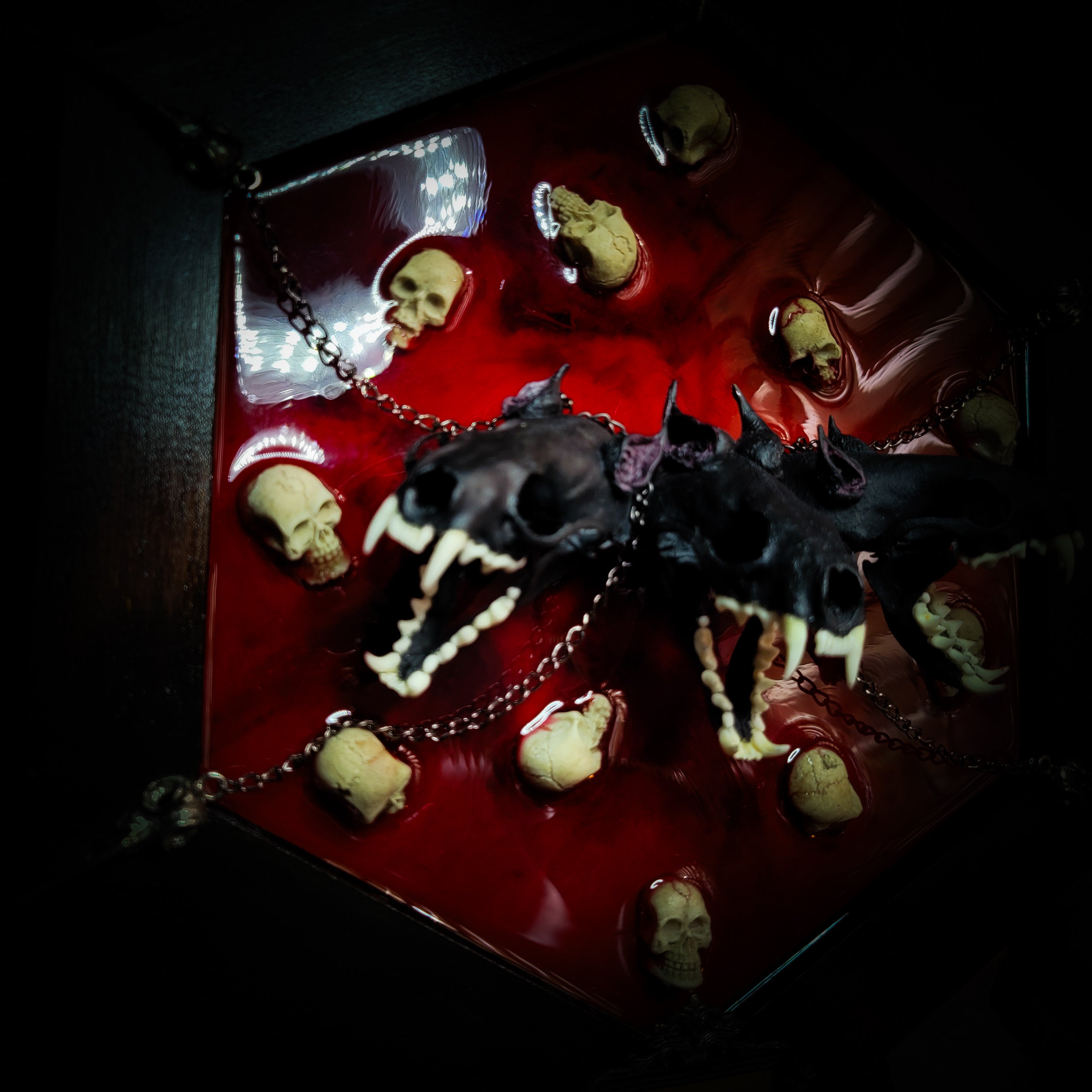 Cerberus | Collectors Work — handmade gothic wall decor with three real mink skulls, sculpted ears and tongues, decorative chains, silver crow ornaments and Latin inscription plaque on deep red velvet, hexagon frame, 23x27cm