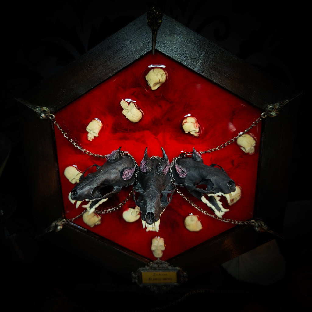 Cerberus | Collectors Work — handmade gothic wall decor with three real mink skulls, sculpted ears and tongues, decorative chains, silver crow ornaments and Latin inscription plaque on deep red velvet, hexagon frame, 23x27cm